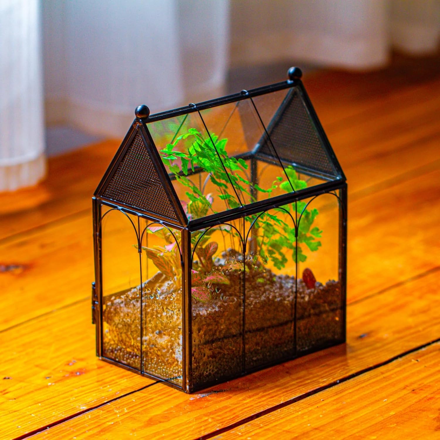 Thumbnail 6 de NCYP Small Glass Terrarium Enclosure with Mesh for Jumping Spiders (Terrarium Only) – Black, 14.7 x 9.6 x 17.8 cm