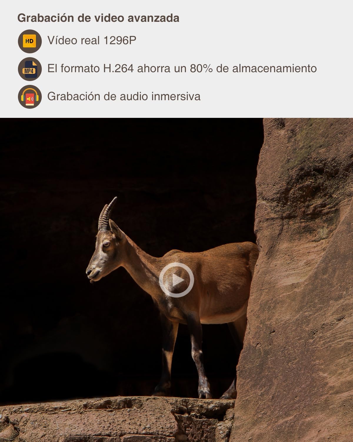 Detalle de GardePro A5 Cámara de Caza 64MP 🎥 Visión Nocturna 30m