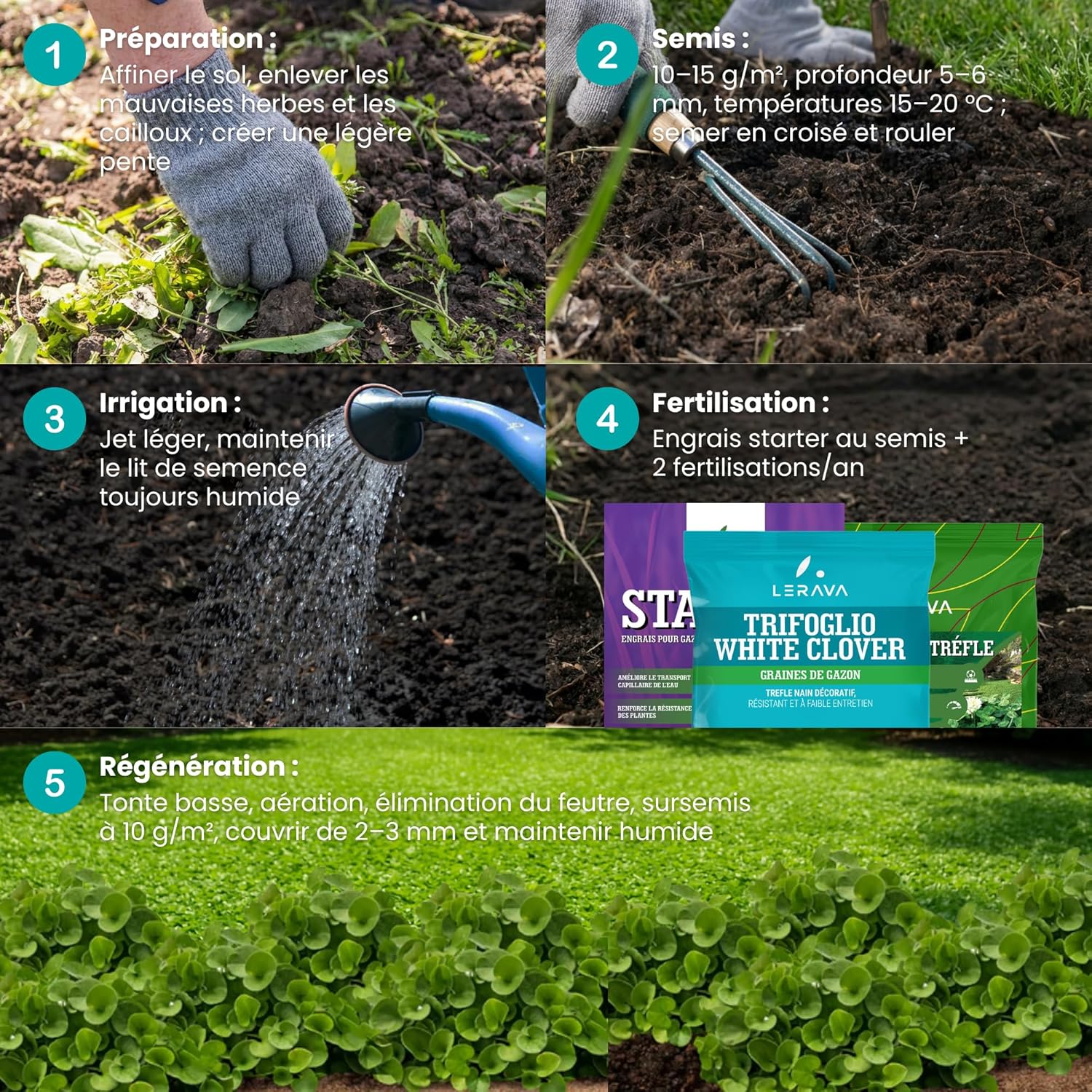 Thumbnail 4 de LERAVA Trèfle blanc (50 m²) – Fixateur d’azote naturel pour pelouses et jardins
