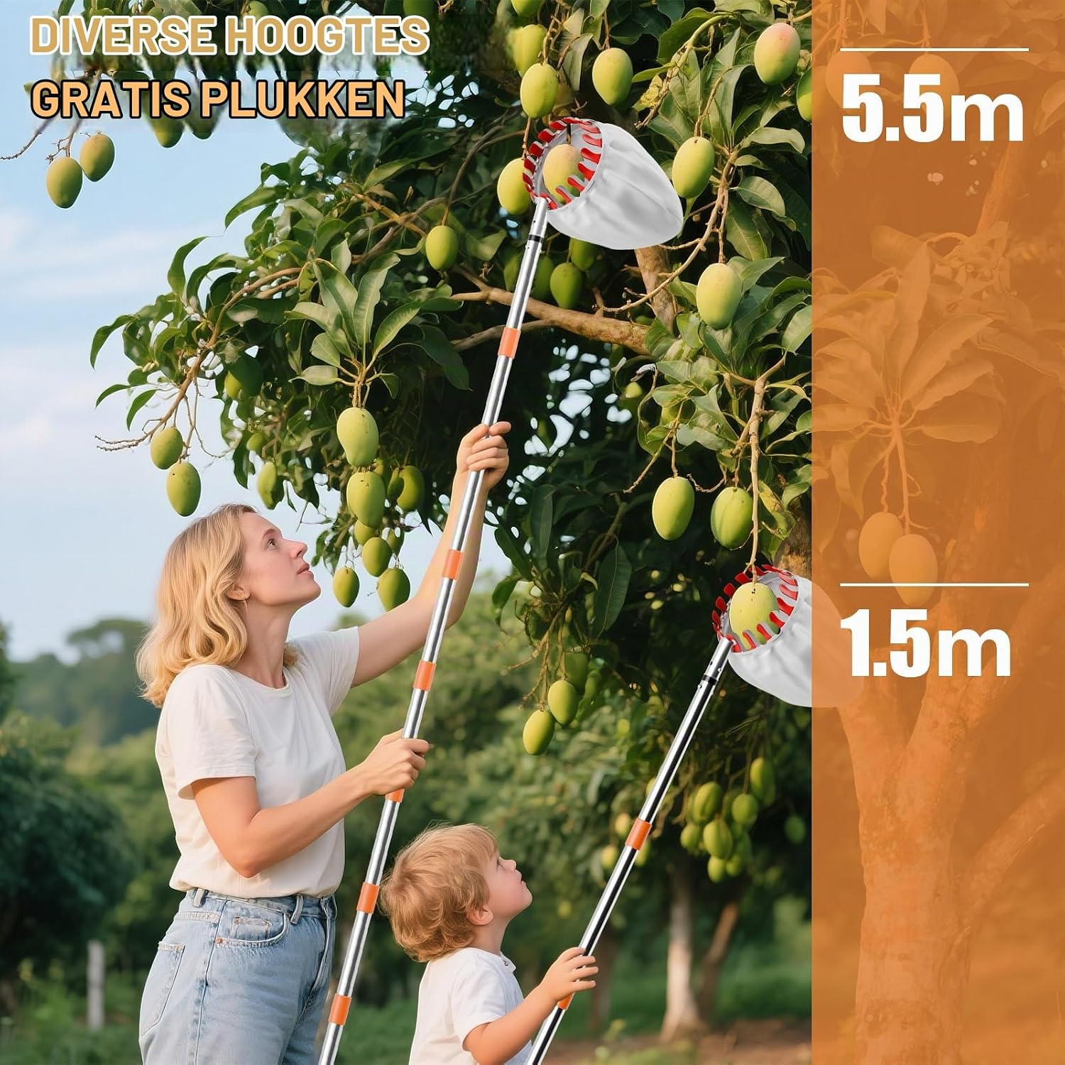 Detalle de InemzTal Apple Picker fruitplukker met telescoopsteel tot 4,2 m en opvangzak