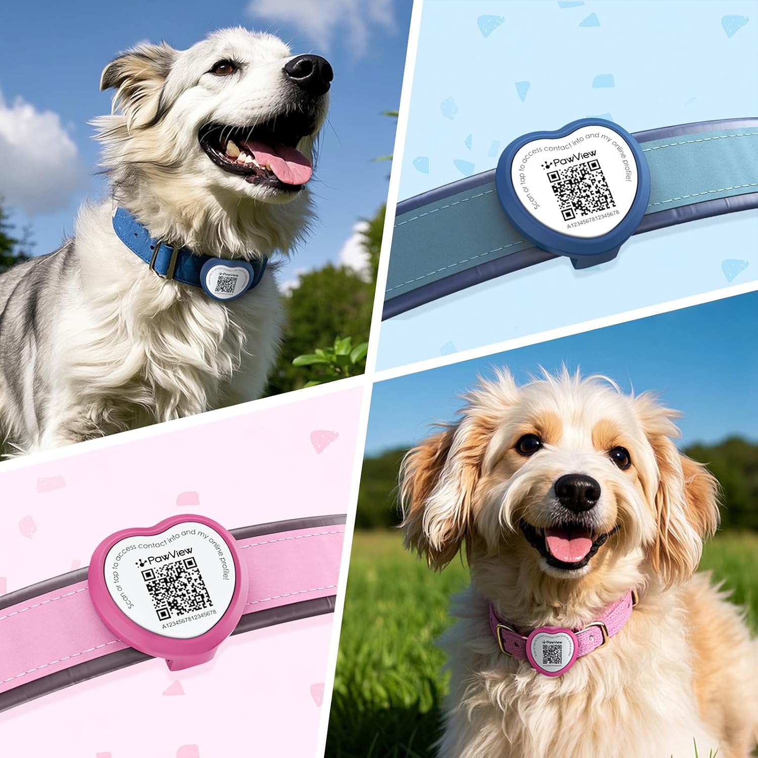 Thumbnail 1 de Pawview NFC & QR Code ID Tag for Pets – Silent Personalized Dog Tag (Pink & Blue)