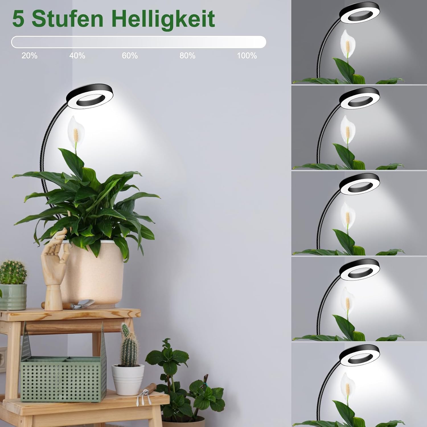 Thumbnail 6 de Wolezek Pflanzenlampe 360° đ±