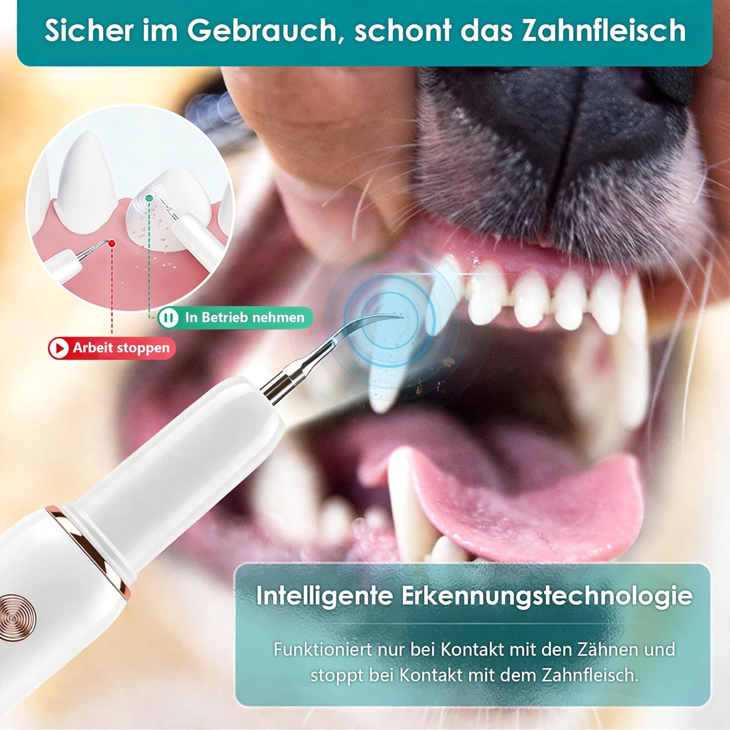 Thumbnail 1 de FIVAVA Pulizia Denti per Cani e Gatti: kit ricaricabile con 5 modalità