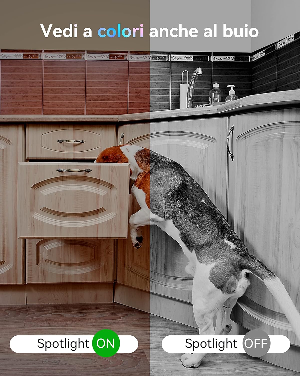 Thumbnail 3 de blurams Telecamera WiFi 2K