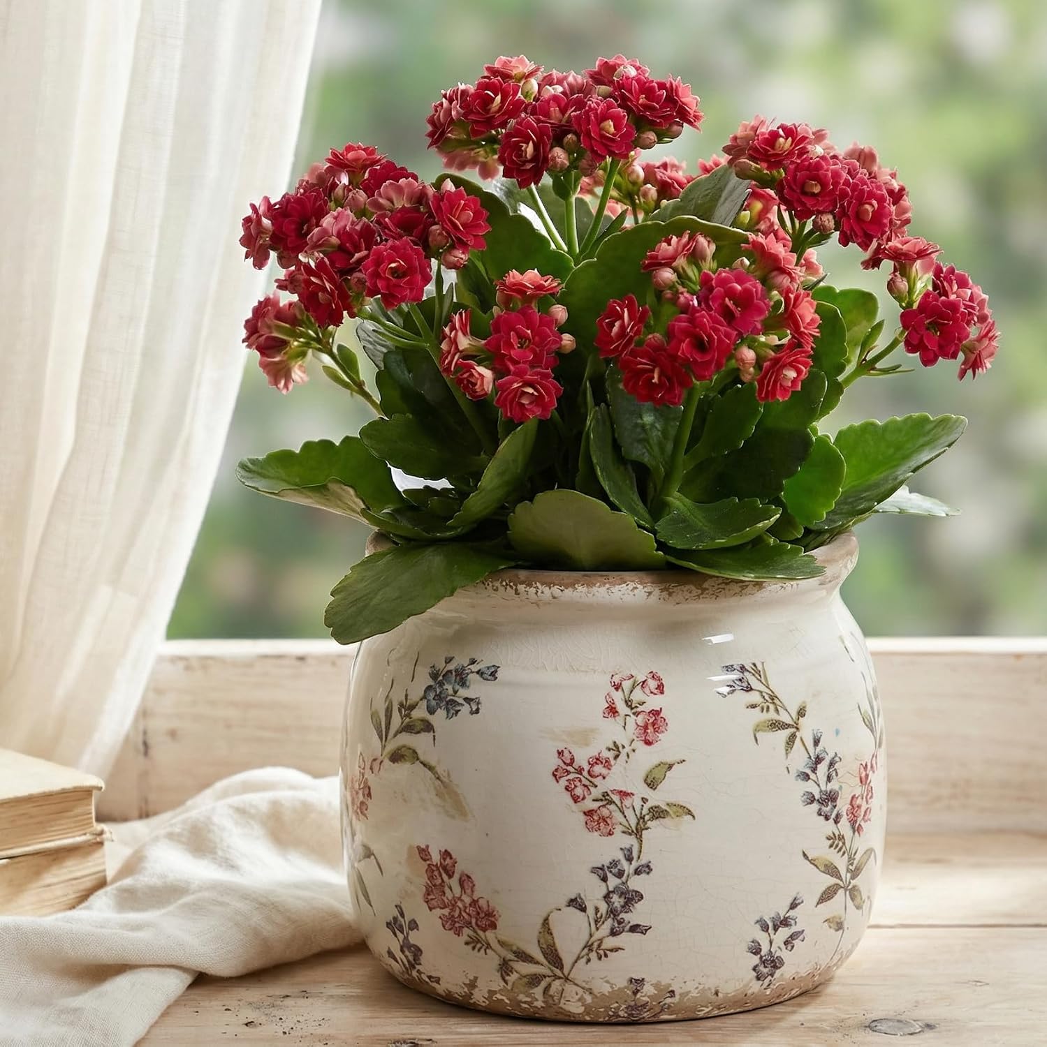 Detalle 2 de Xiaan Jiaju ceramic planter 6.29-inch
