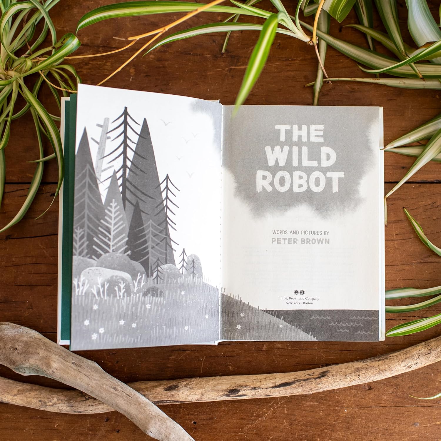 Detalle 2 de The Wild Robot (Volume 1) Hardcover Book by Peter Brown