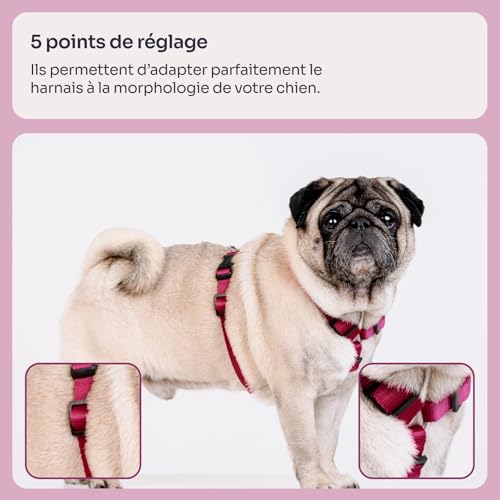 Detalle de Chaba Harnais Guard pour Petit Chien - 5 Points, Anti-Traction, Taille M, Bordeaux