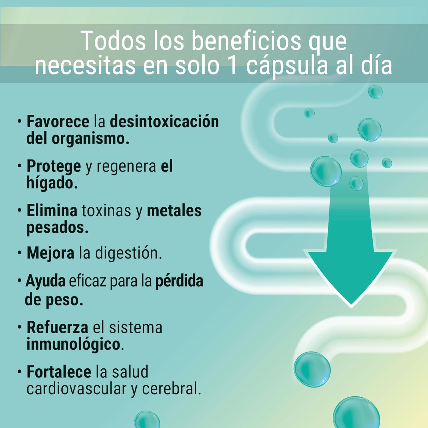 Thumbnail 2 de Healthy Fusion Detox Cleaner 🌿 | Depurativo Hígado y Colon, 60 cápsulas