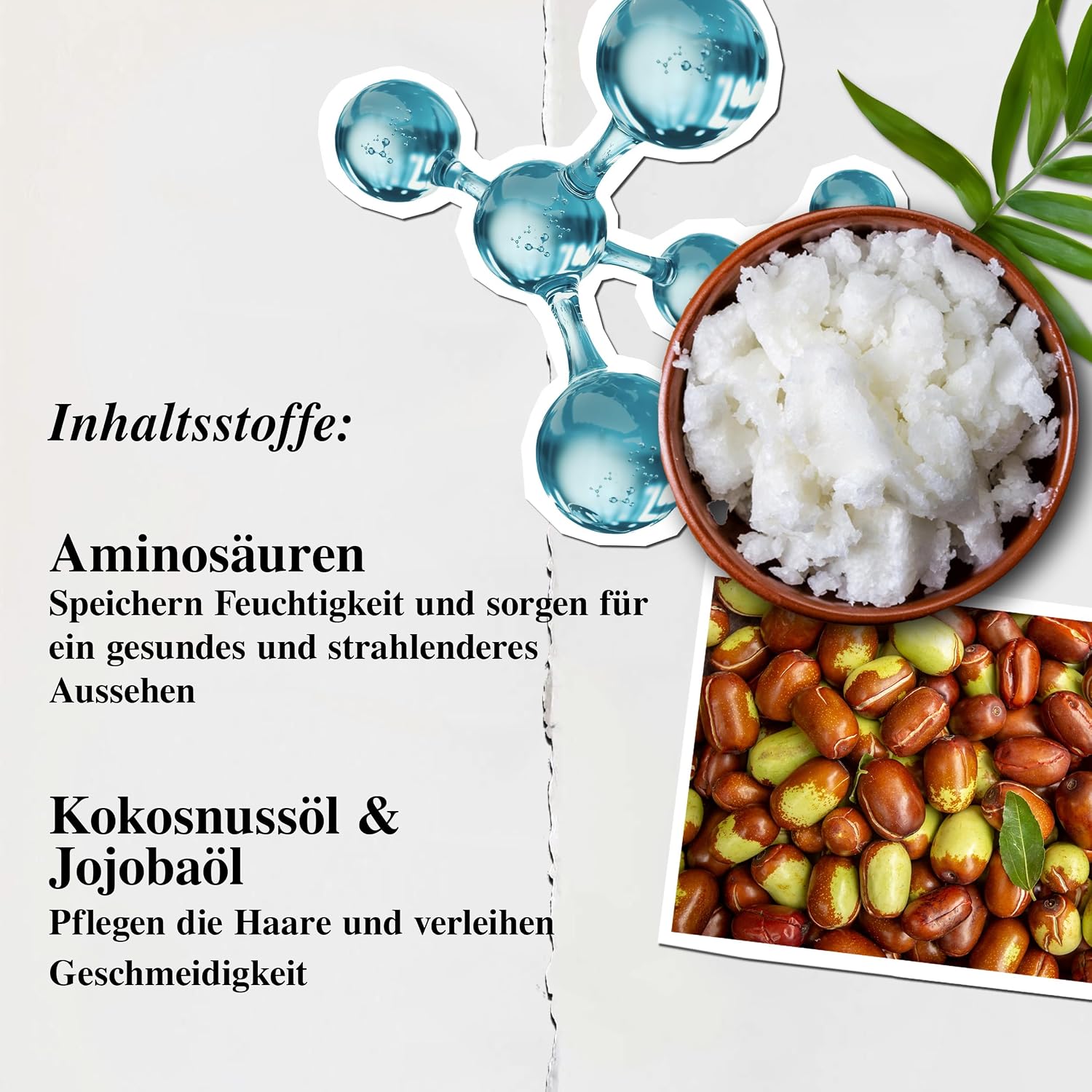 Detalle 2 de KIEHL'S Amino Acid Conditioner – Feuchtigkeitsspendende Haarspülung mit Aminosäuren für geschmeidiges, gesund aussehendes Haar