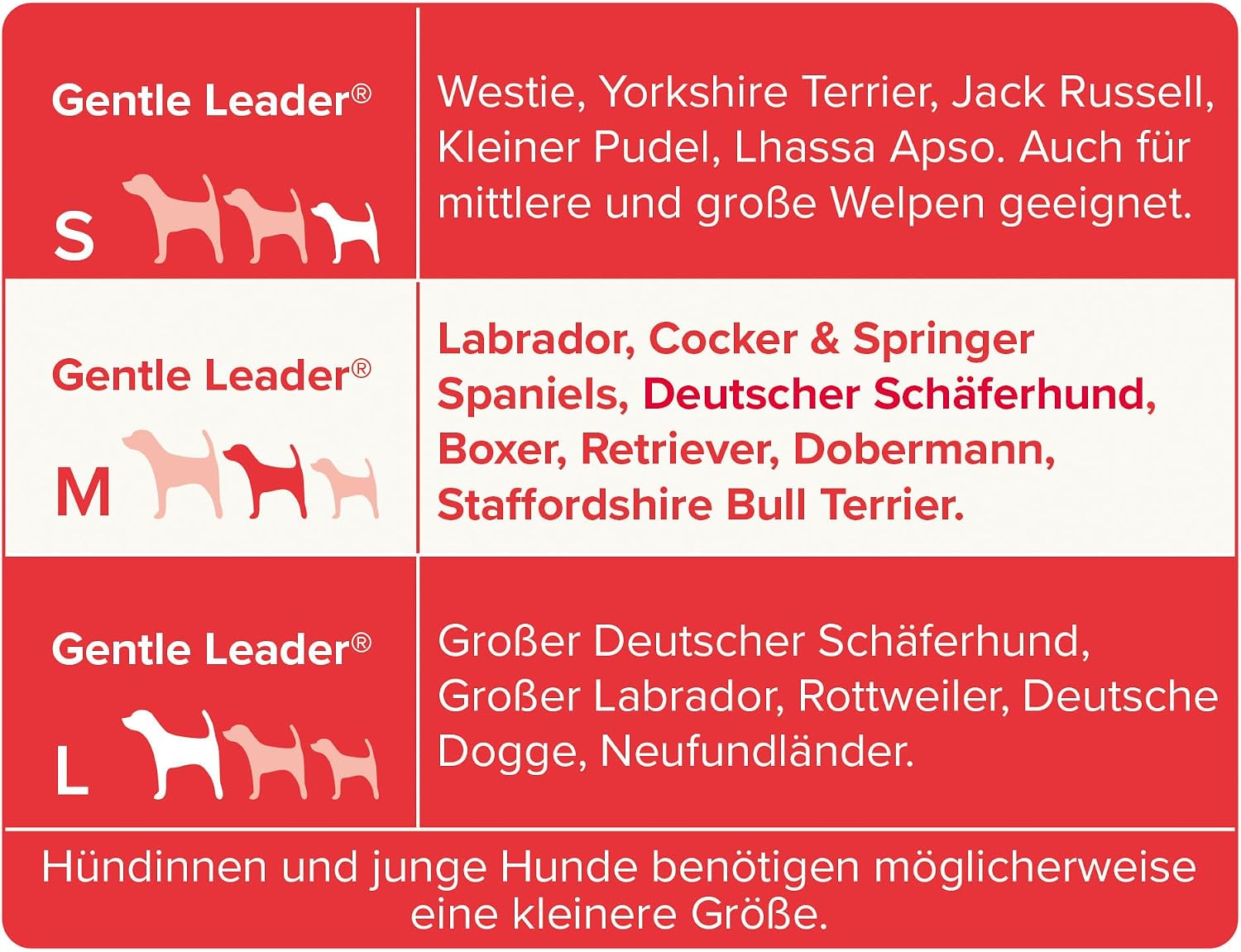 Thumbnail 4 de BEAPHAR Gentle Leader Hundehalfter S schwarz