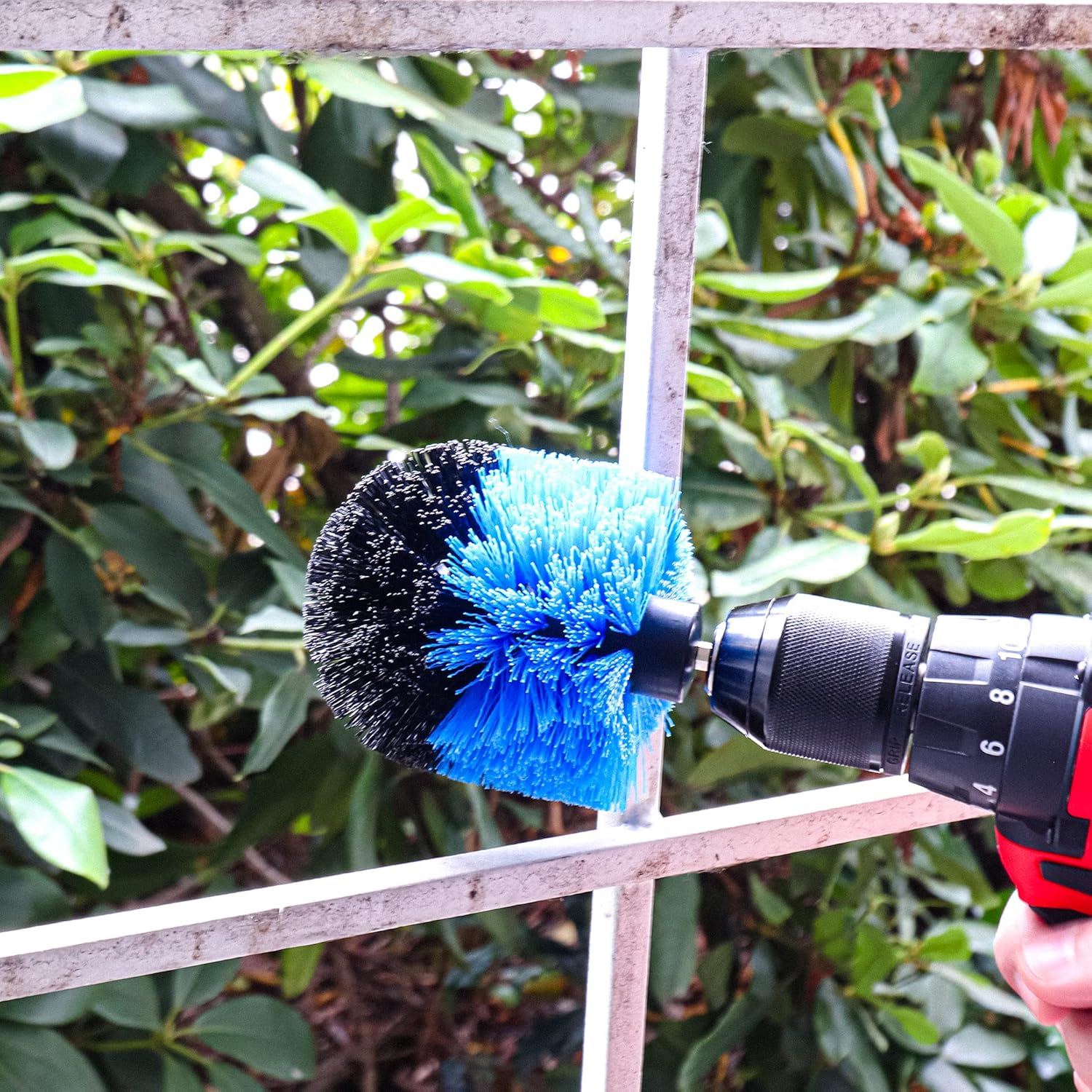 Thumbnail 5 de WERKFIX Set 6 spazzole per trapano elettrico con setole blu (medie) per pulizia di piastrelle, ceramica, legno e altro