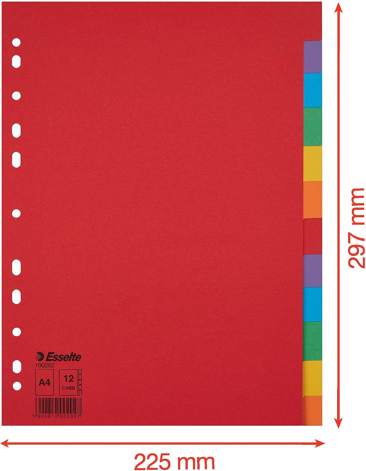 Detalle 2 de Esselte – 10 jeux d'intercalaires A4 12 touches multicolore, carton résistant (100202)