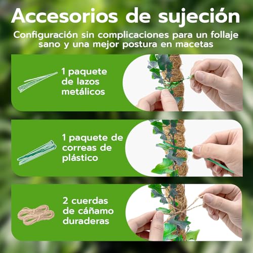 Detalle de Wigearss: 2 tutores de fibra de coco de 60 cm para plantas trepadoras, con montaje y anclaje incluido
