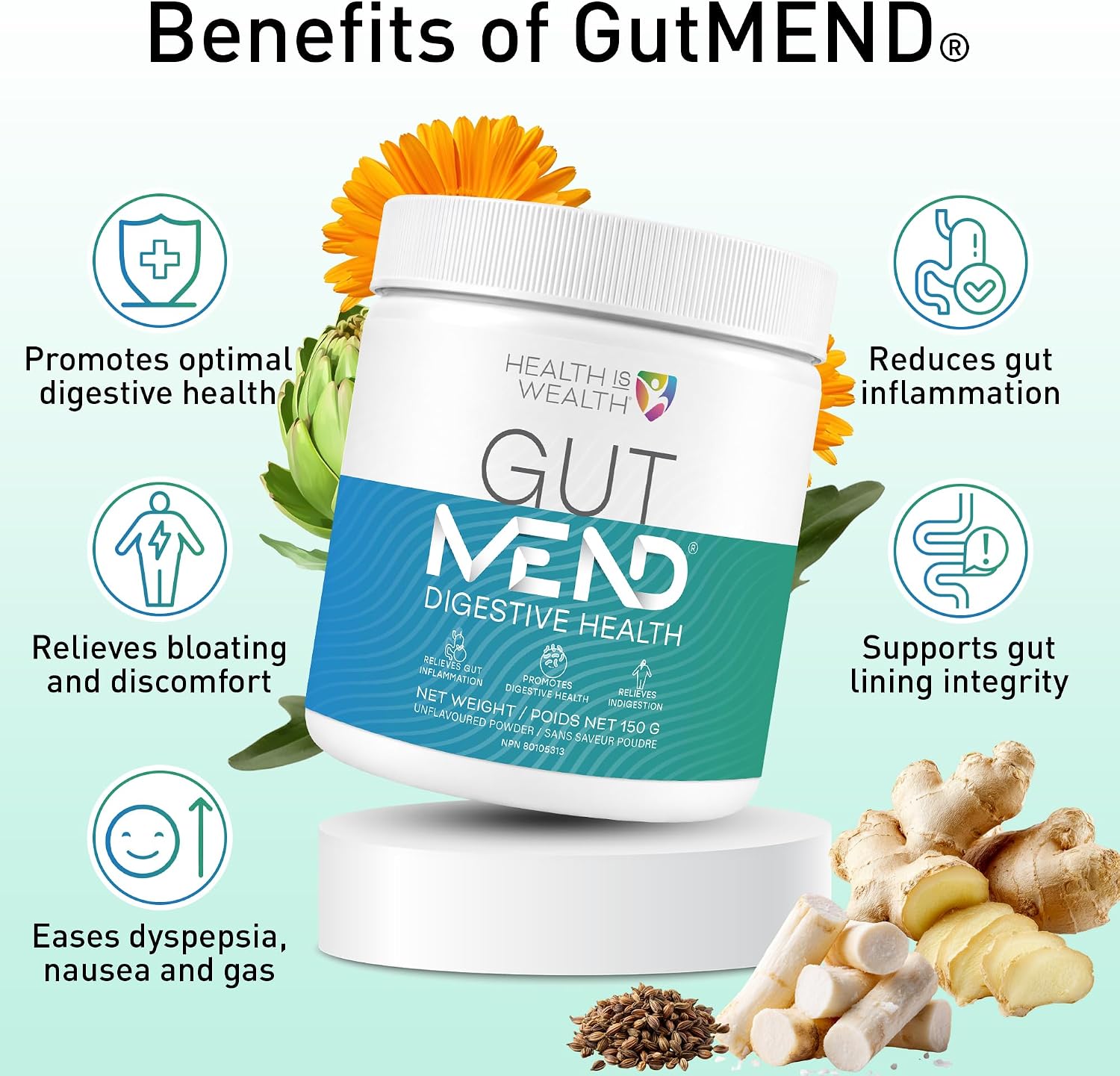 Detalle de Health IS Wealth GutMEND Gut Health Powder, 150 g with L-Glutamine