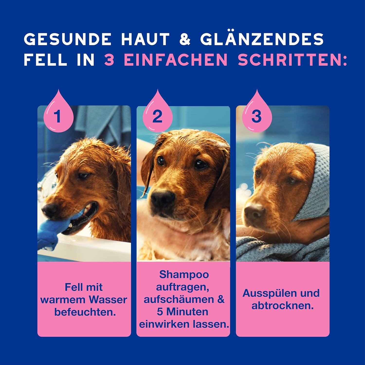 Detalle 2 de DOUXO Skin & Coat SPA – Ultra-Safe Shampoo für empfindliche Haut, 250 ml