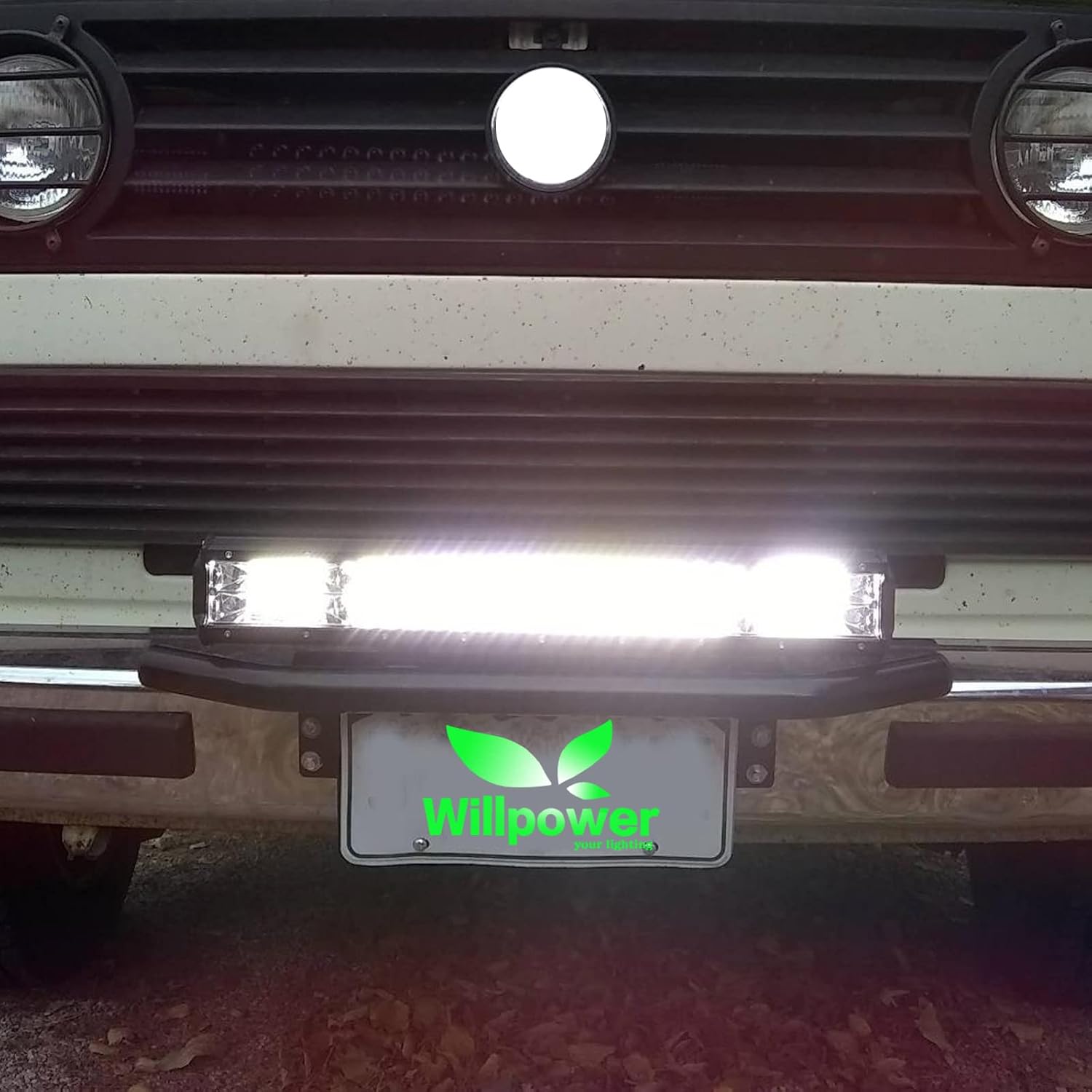 Detalle 2 de Willpower licence plate mounting bracket 22.8-inch
