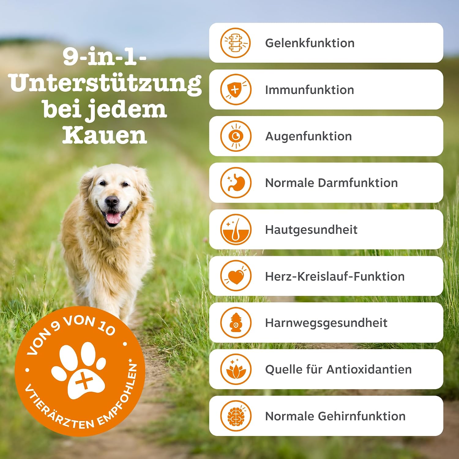 Thumbnail 2 de Zesty Paws 9-in-1 Vitamine für Hunde – Weiche Leckerlis mit Glucosamin, Chondroitin und Multivitaminen