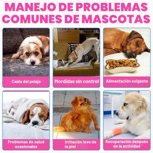 Detalle de Colágeno líquido para perros CiAIplw 60ML: piel sana, pelo brillante y articulaciones flexibles
