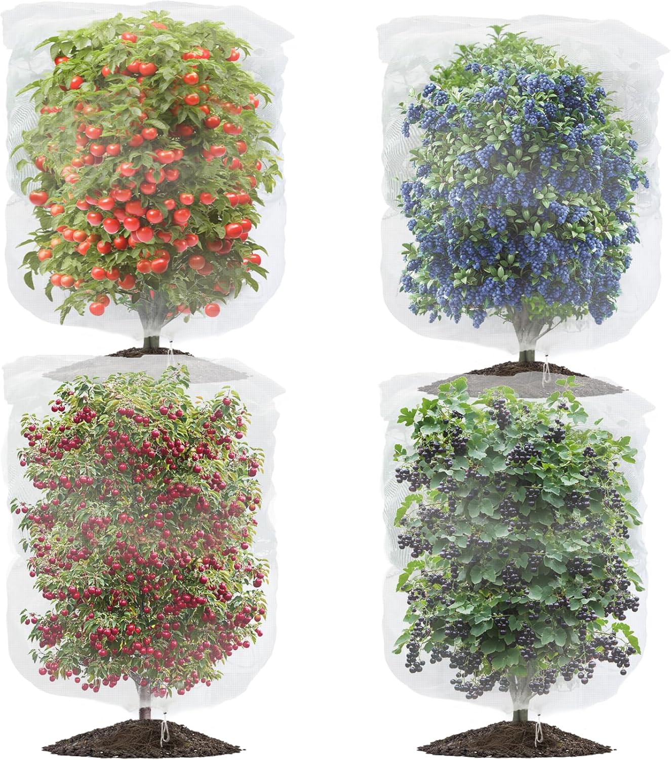 Detalle de Evoio Fruit Tree Protection With Drawstring - 4 Pack Plant Mesh, 120 x 140 cm