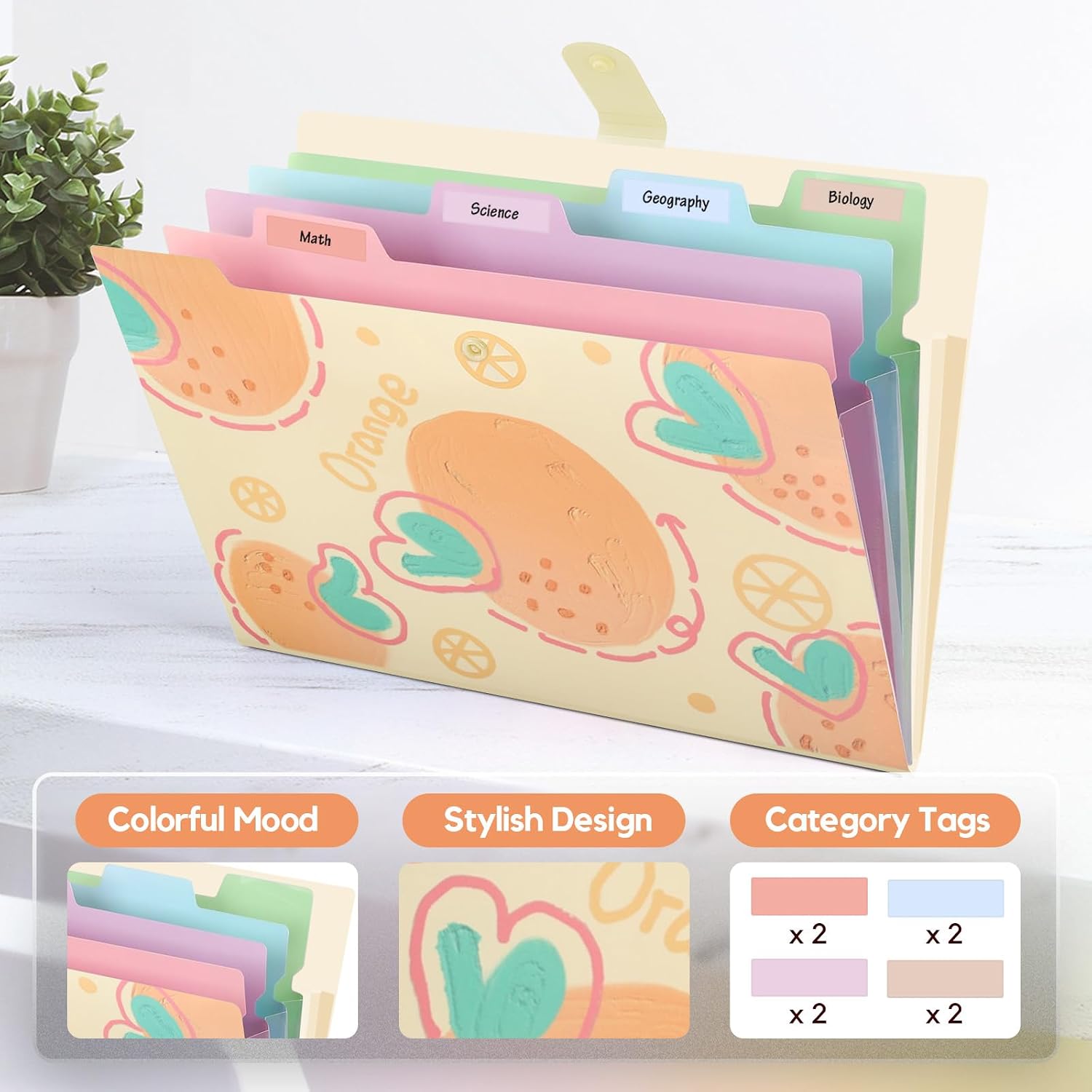 Thumbnail 2 de Expanding file folder, 5 pockets