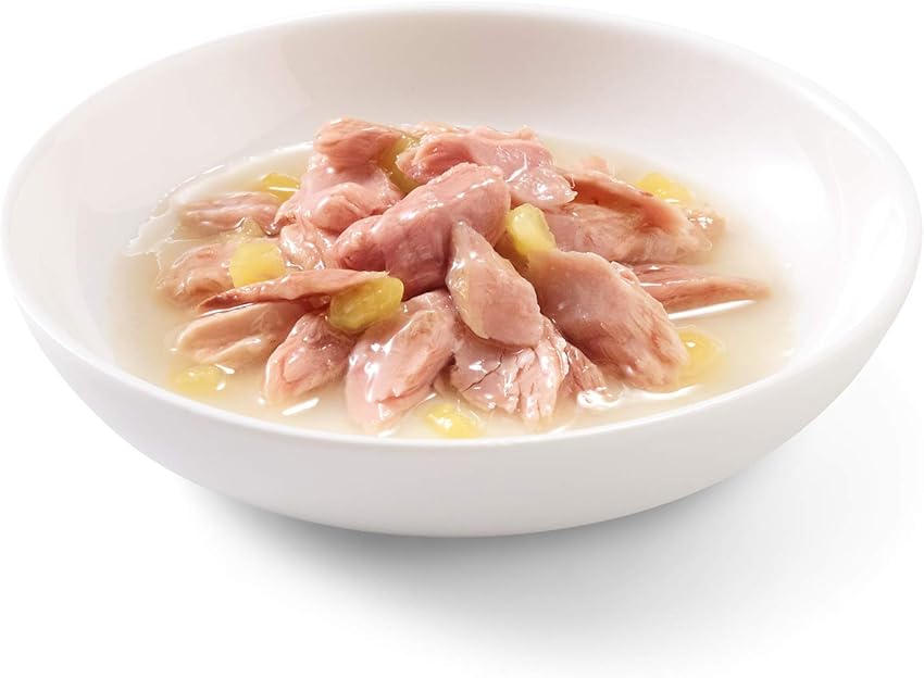 Thumbnail 6 de Schesir Comida húmeda para perros 2,7 kg