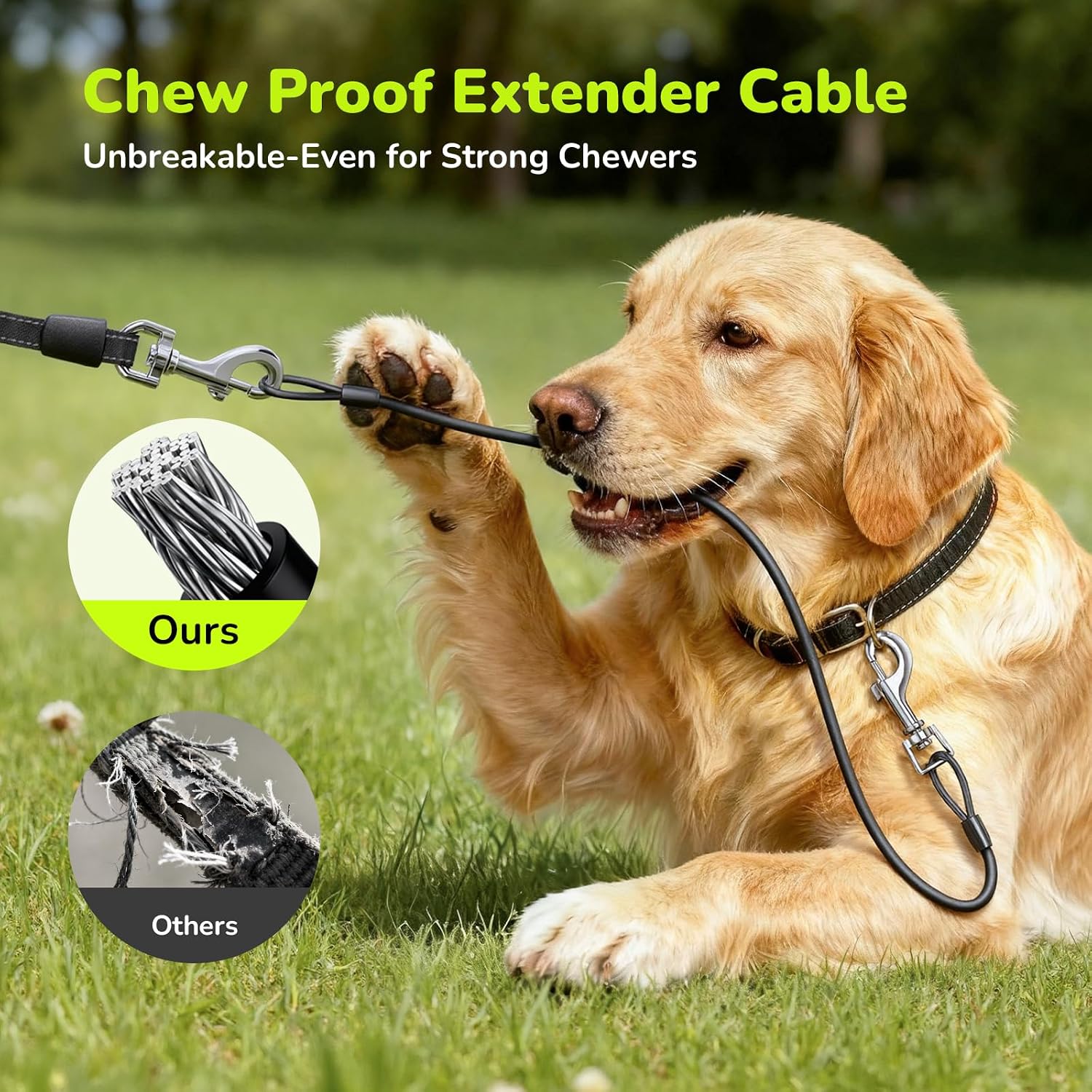 Detalle de Pecute 5m Retractable Dog Lead with Chew-proof Cable, One-Button Control & Reflective Strips (up to 50 kg)