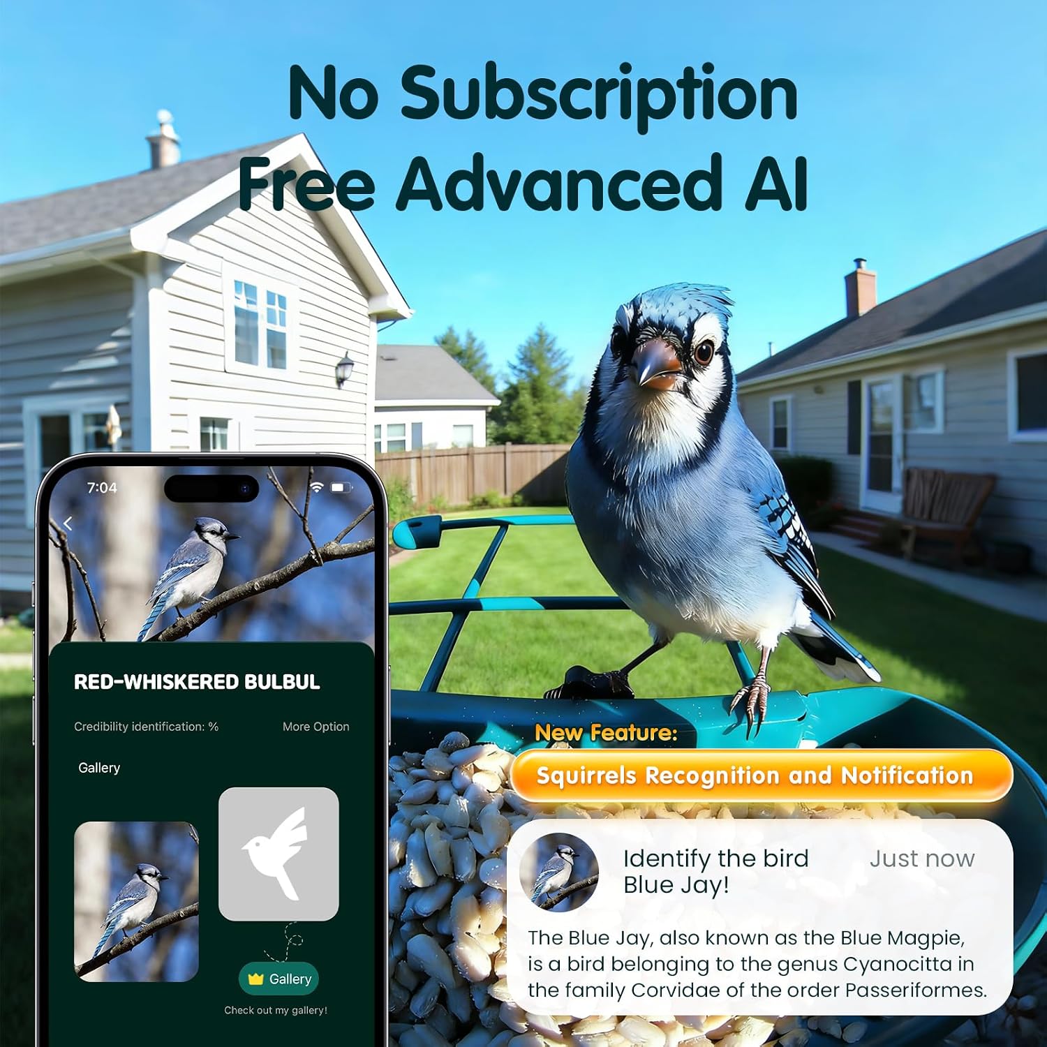Detalle de Humbirdy SH66 4K Smart Bird Feeder Camera with Solar Power