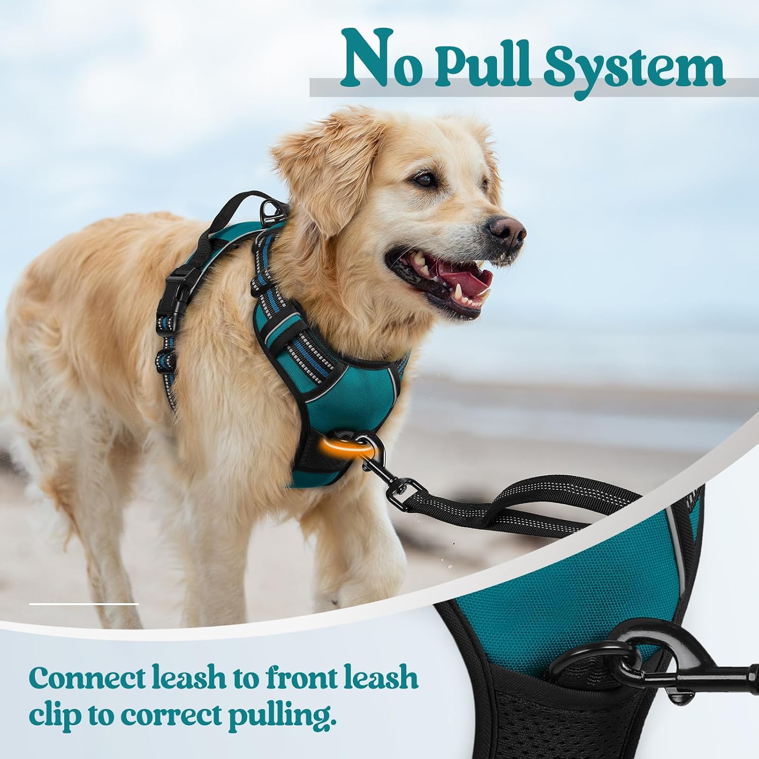 Detalle de rabbitgoo Dog Harness Medium No Pull with 2 Leash Clips, Adjustable Soft Padded Vest, Reflective, Dark Green (M)