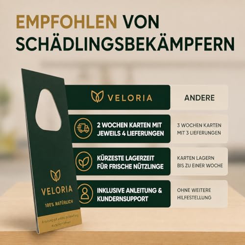 Thumbnail 7 de VELORIA Schlupfwespen gegen Kleidermotten mit 4 Karten