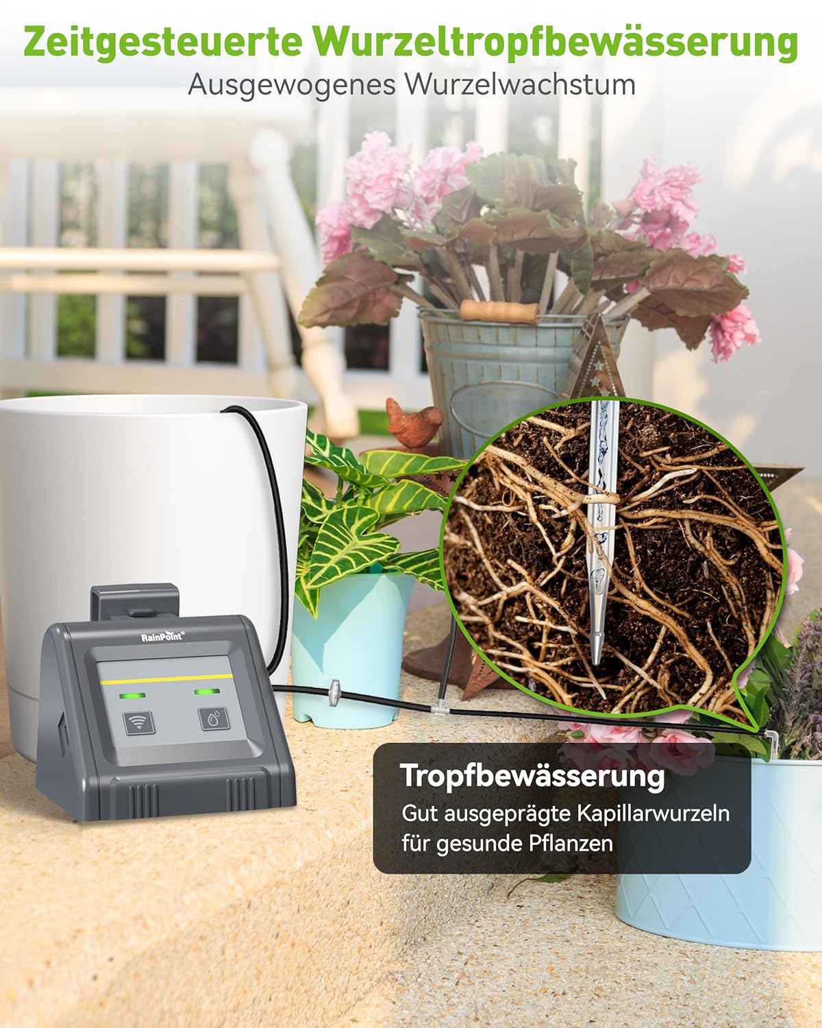 Thumbnail 5 de RAINPOINT WiFi Sistema di irrigazione automatica: kit goccia per balcone e piante in vaso