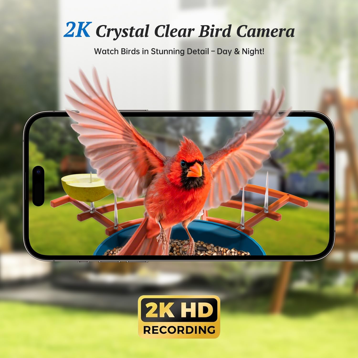 Thumbnail 6 de DOCOON 2K Bird Feeder Camera