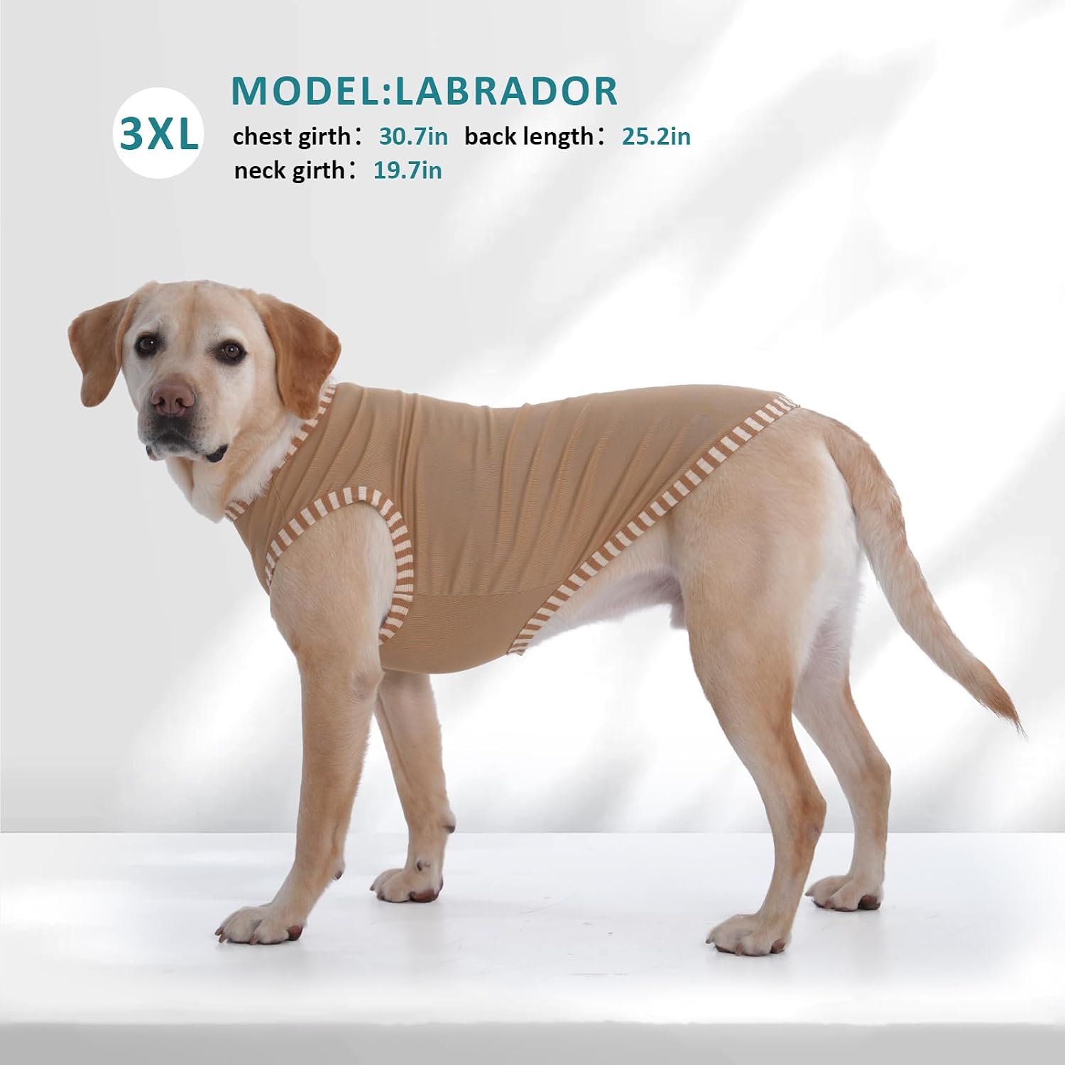 Detalle 2 de Katzinst Hundeshirt 2er Pack 4XL