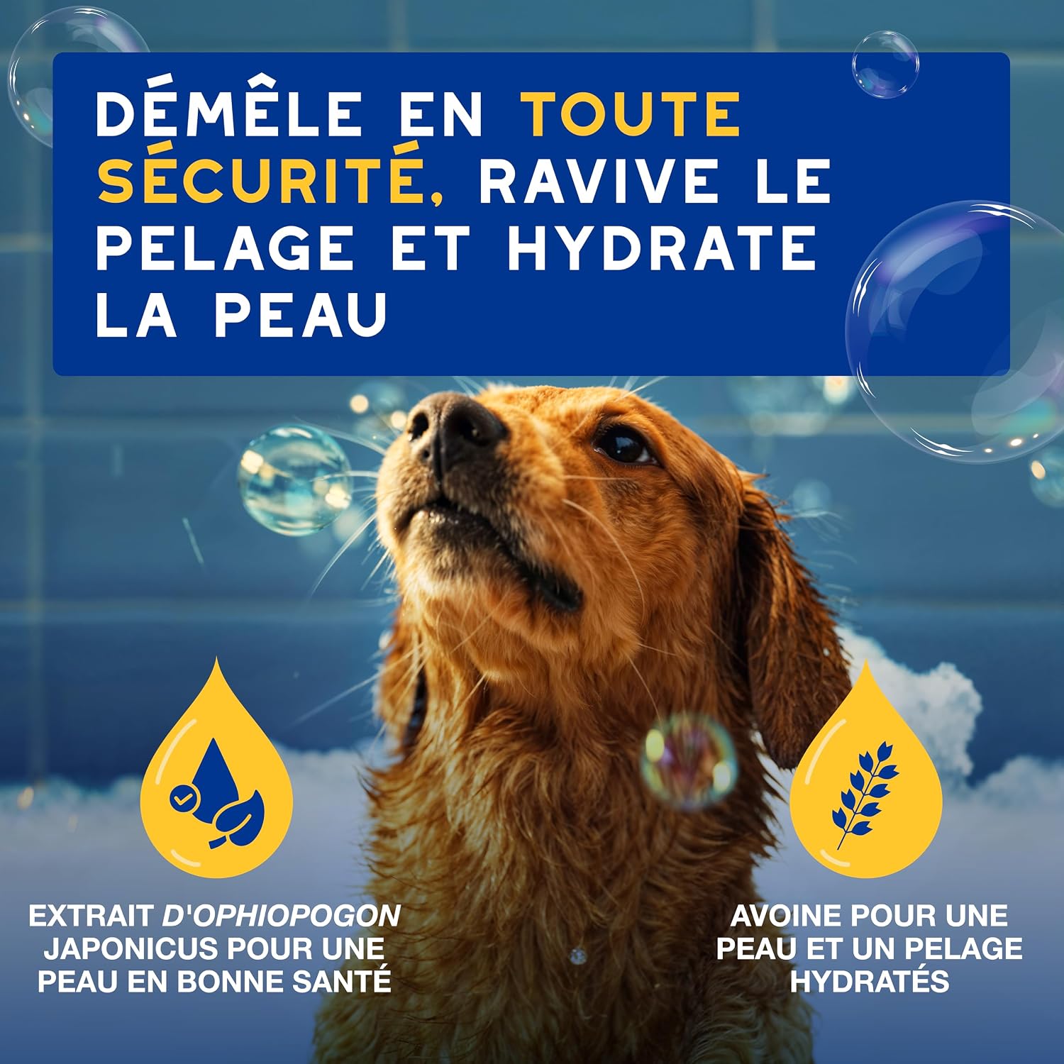 Detalle 2 de DOUXO Skin & Coat Spa – Après-shampoing hydratant Ultra-Safe pour Chien, 250 mL
