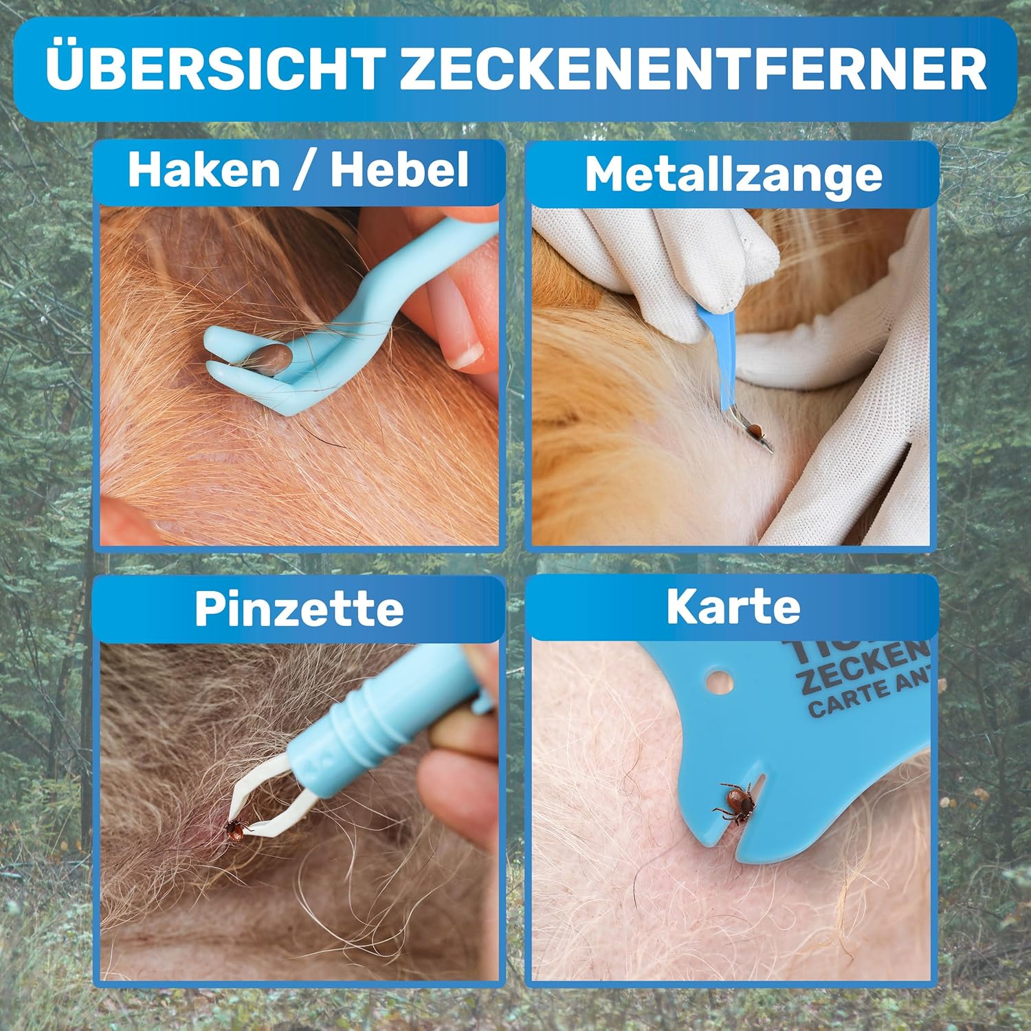 Detalle de BluePet 10er Set Zeckenentferner mit Tasche – Zeckenzange, Zeckenhebel, Zeckenpinzette und Zeckenkarte für Hund, Katze, Pferd & Mensch