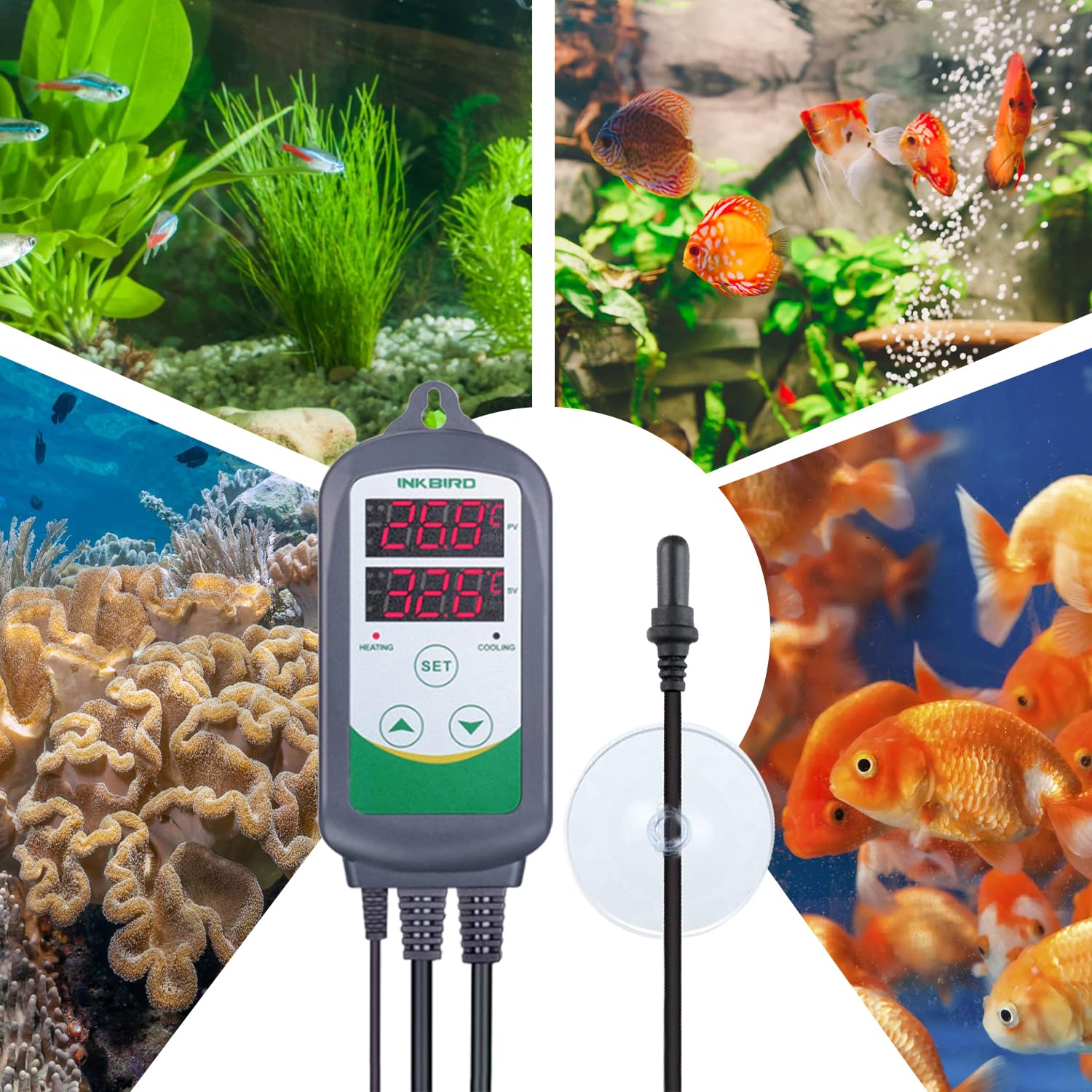 Thumbnail 6 de Inkbird ITC-308S Aquarium Thermostat: Dual Heating & Cooling Temperature Controller