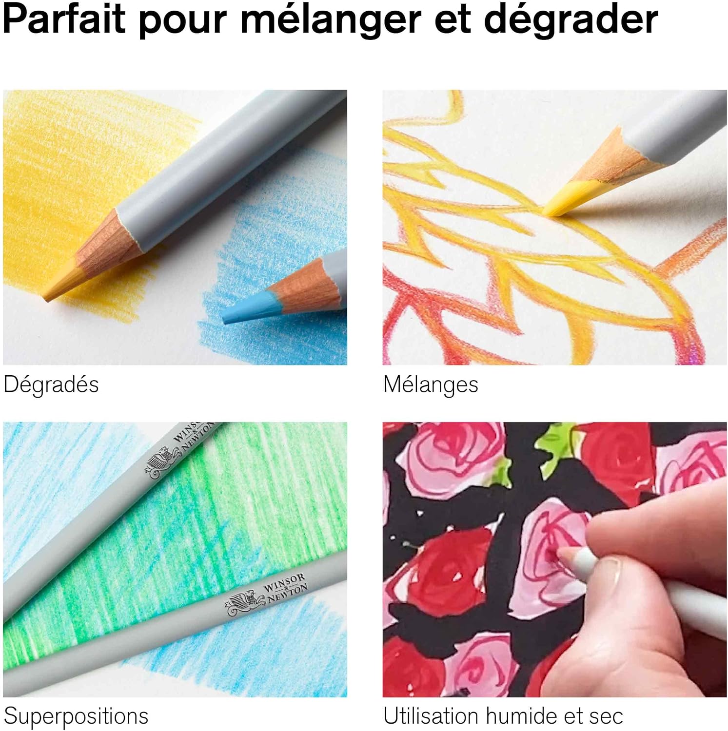 Detalle de Winsor & Newton Studio Collection Crayons de Couleur X24