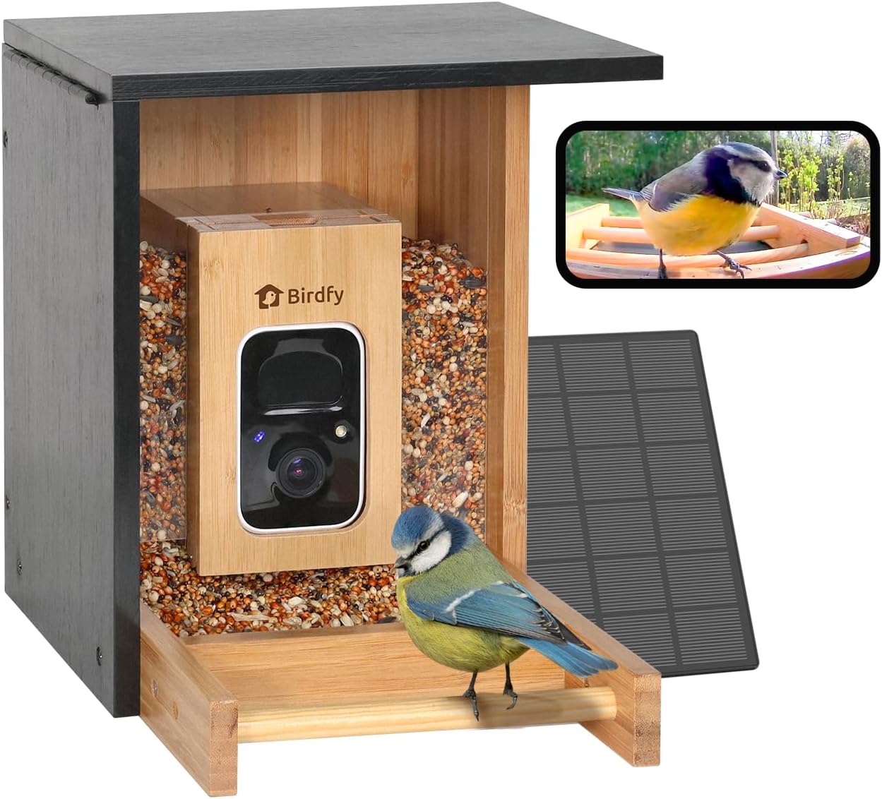 NETVUE Bambus Mini Vogelfutterhaus mit Kamera 1,9 L