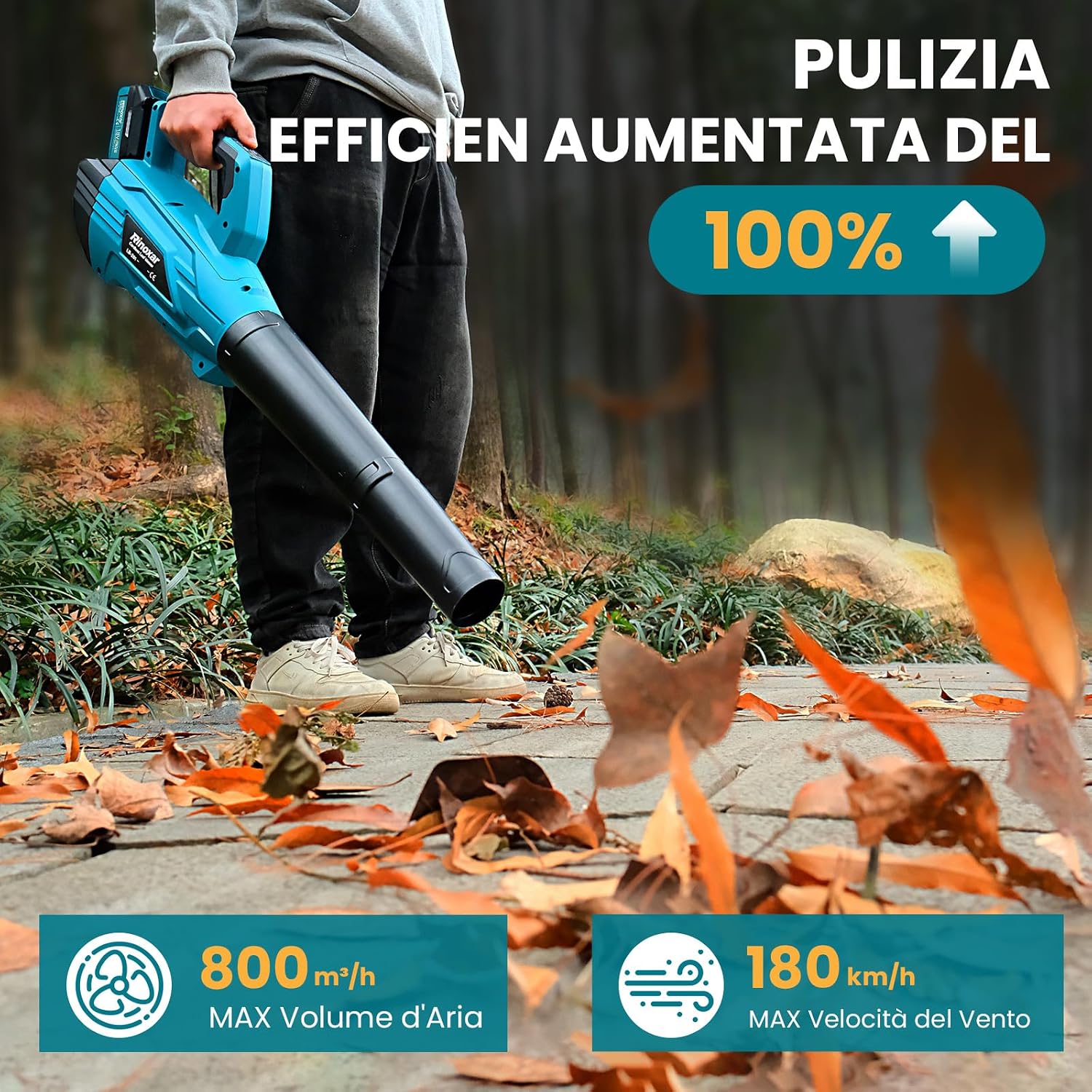Detalle 2 de Soffiatore 2 batterie 5,2Ah 800 m³/h