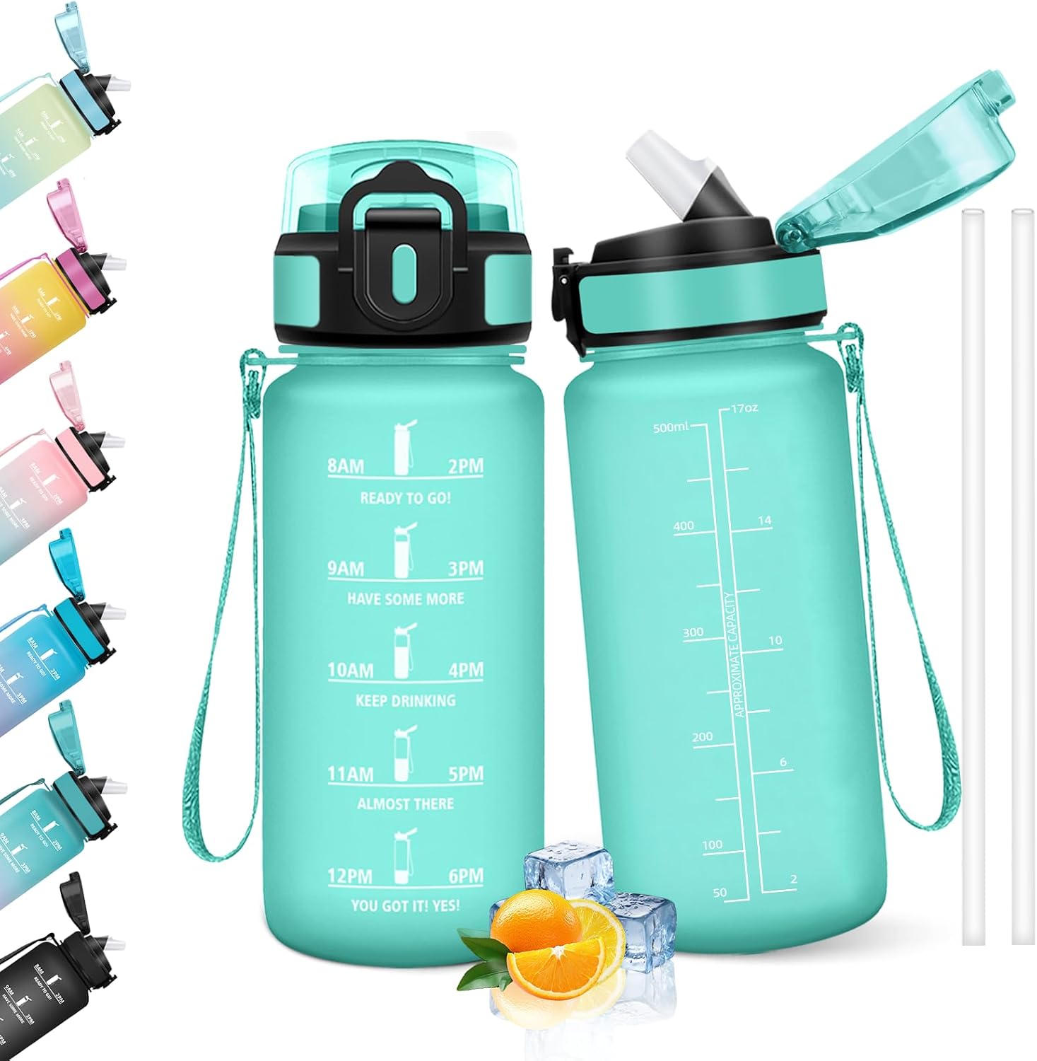 HoneyHolly Gourde 500ml 🥤