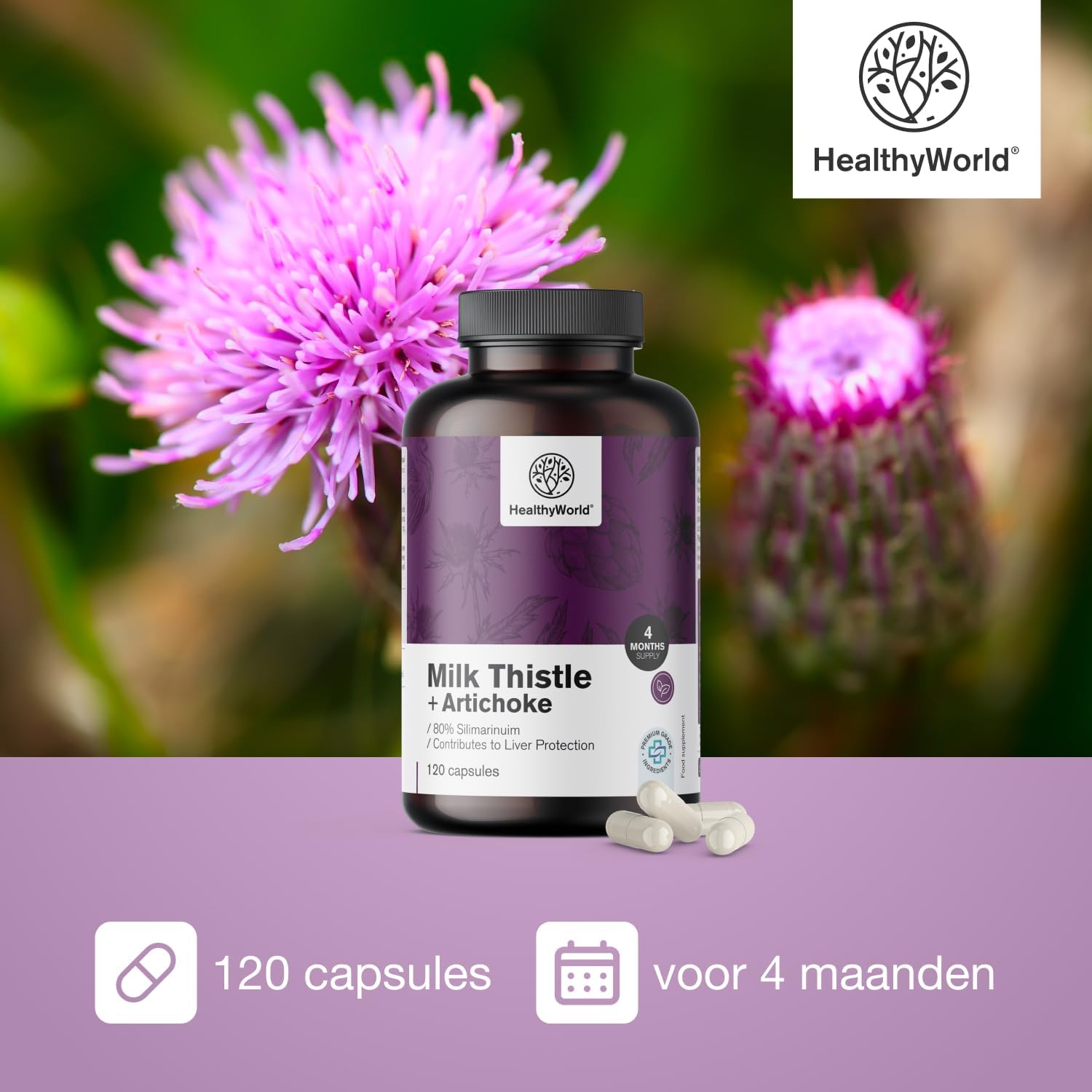Thumbnail 3 de HealthyWorld Mariadistel + Artisjok, 120 capsules met 80% silymarine