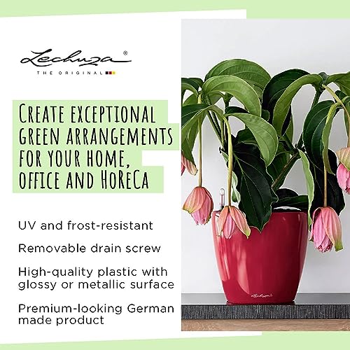 Thumbnail 4 de Lechuza Clásico Premium 35 macetero jardín 43 x 43 x 39 cm antracita