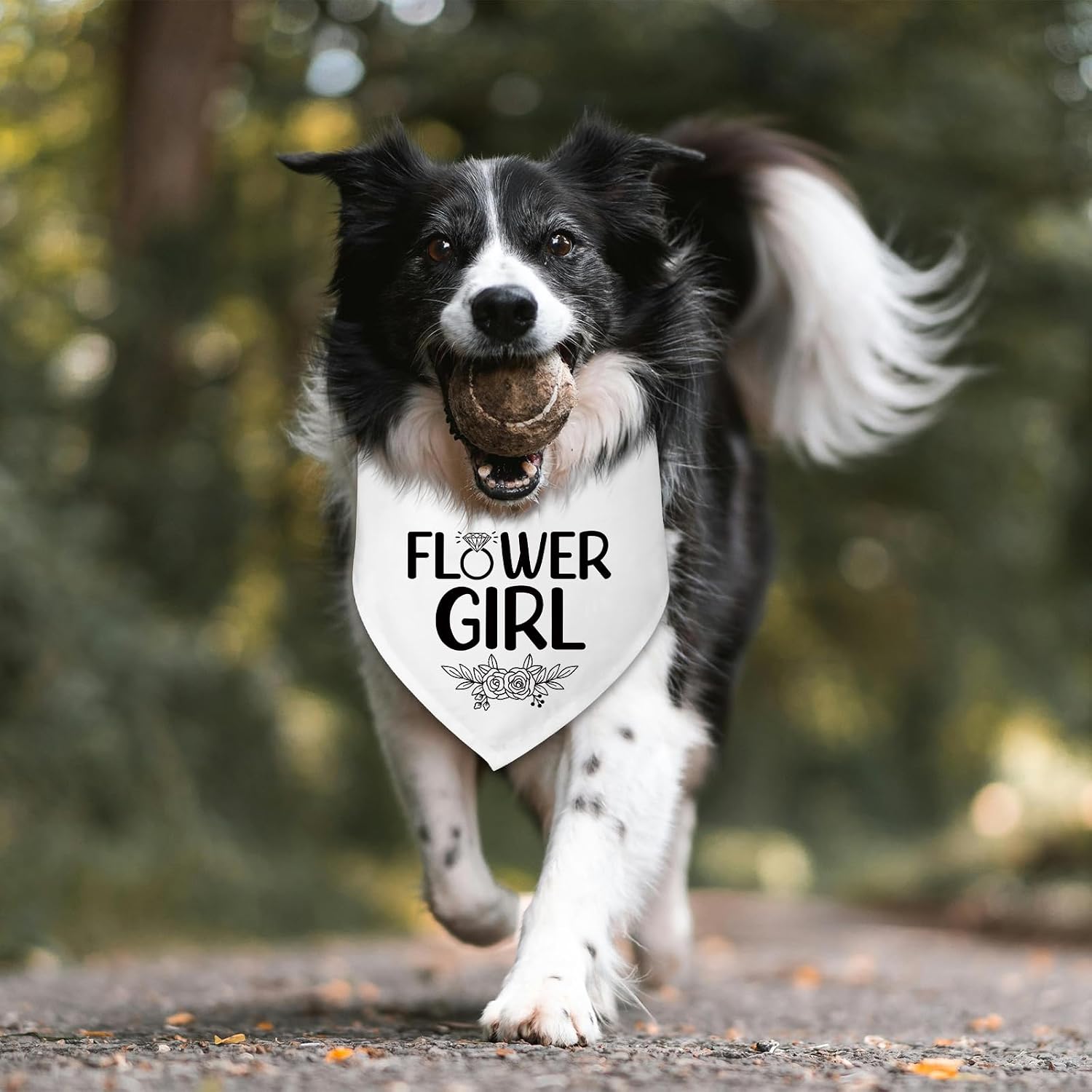 Thumbnail 5 de Dog Wedding Bandana with Flower Girl Phrase