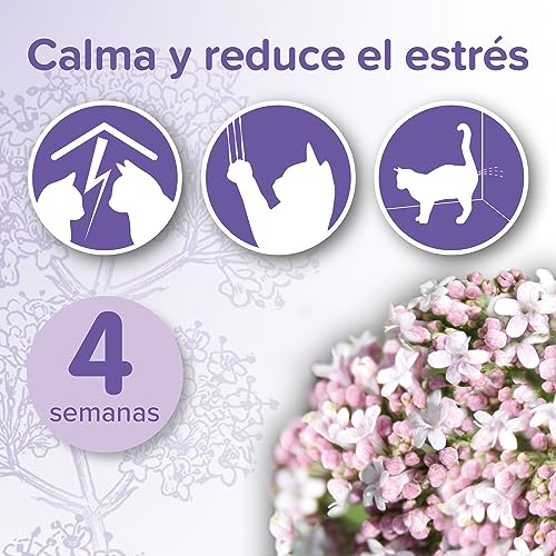 Thumbnail 2 de Beaphar No Stress Kit Antiestres Natural para Gato: Difusor + Recarga 30 ml