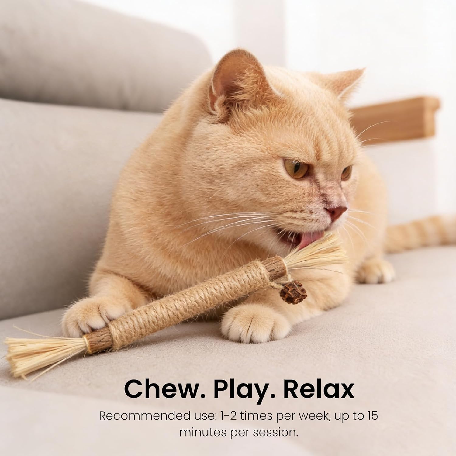 Thumbnail 6 de Aidiyapet Bastoncini Matatabi per Gatti – 6 Pezzi di Bastoncini da Masticare con Silvervine e Corda di Sisal