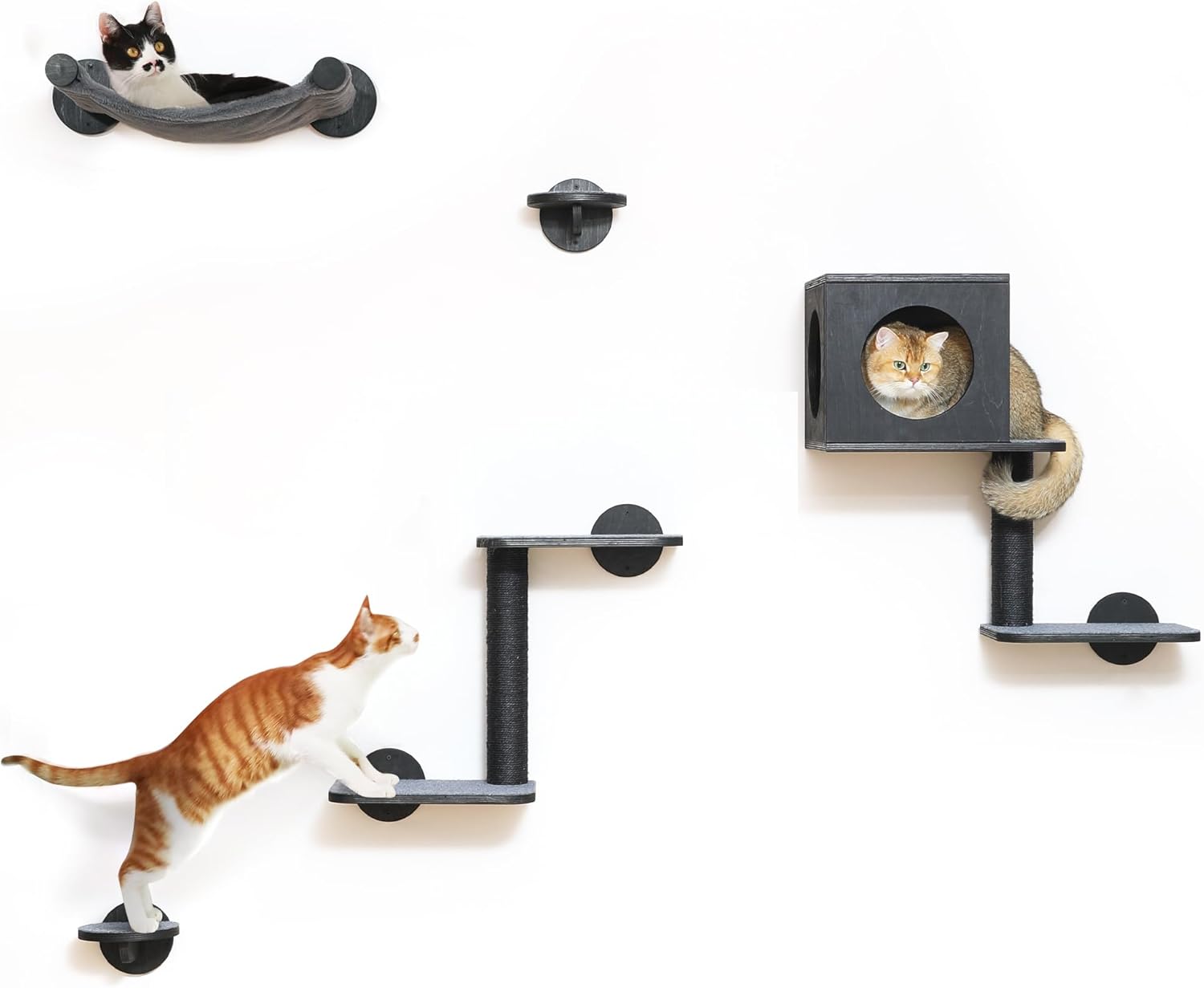 Detalle de FUKUMARU 5-Piece Cat Wall Shelves – Stable Wooden Wall-Mounted Furniture Set with Kitty Climber, Hammock, Steps, Scratching Post and Hideaway (Black)
