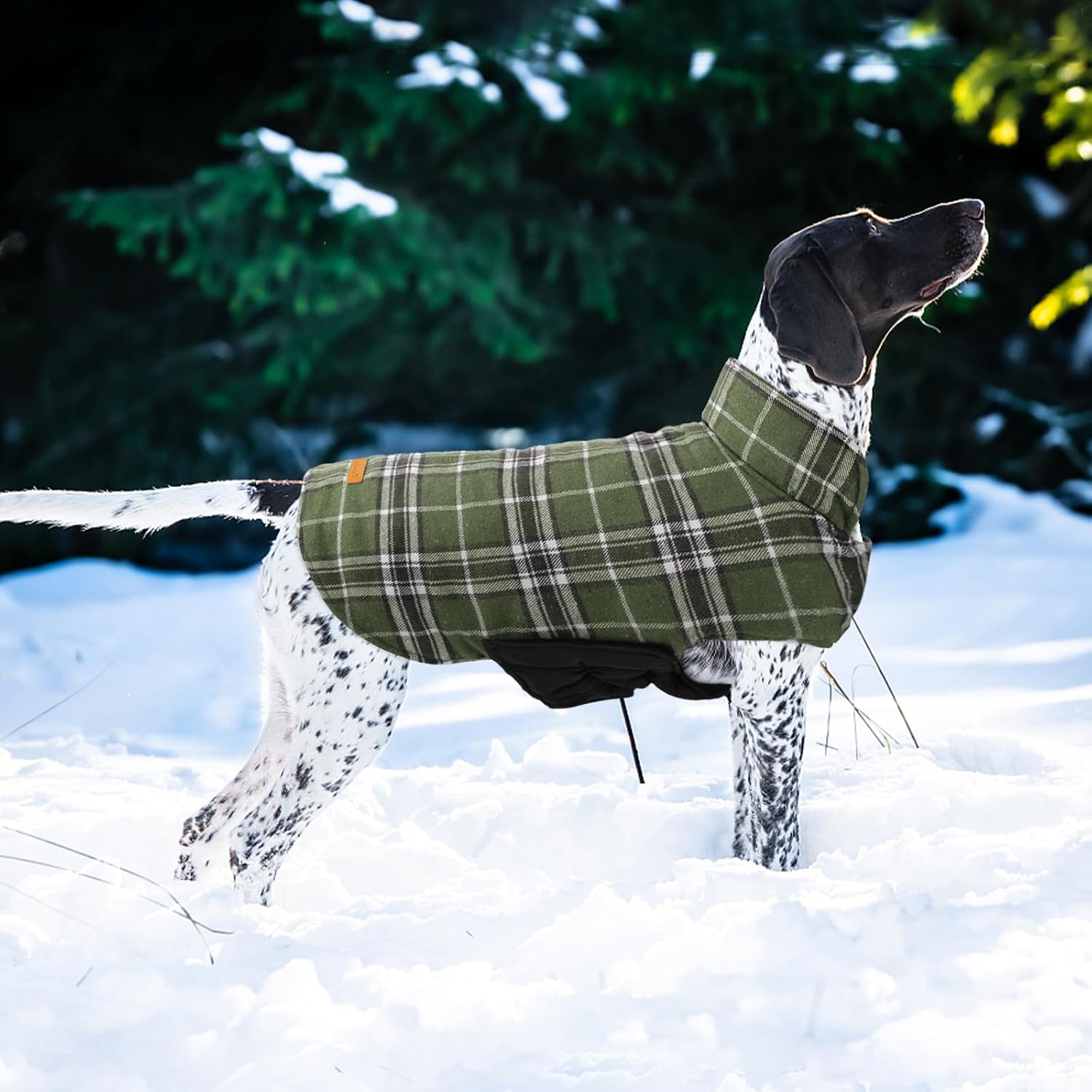Thumbnail 6 de Kuoser Dog Coat 2XL