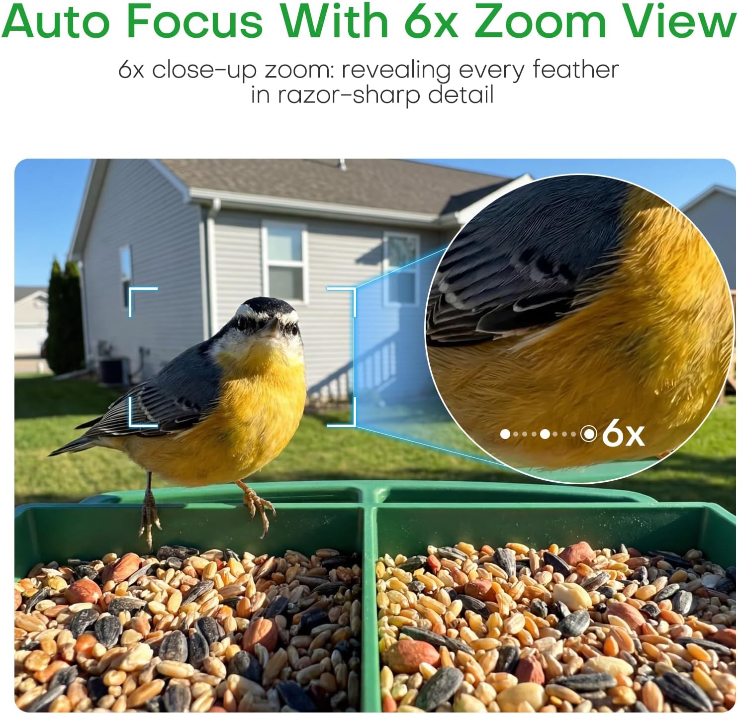 Thumbnail 4 de HomiQ Smart Window Bird Feeder with 2K HD Camera – AI Species Identification