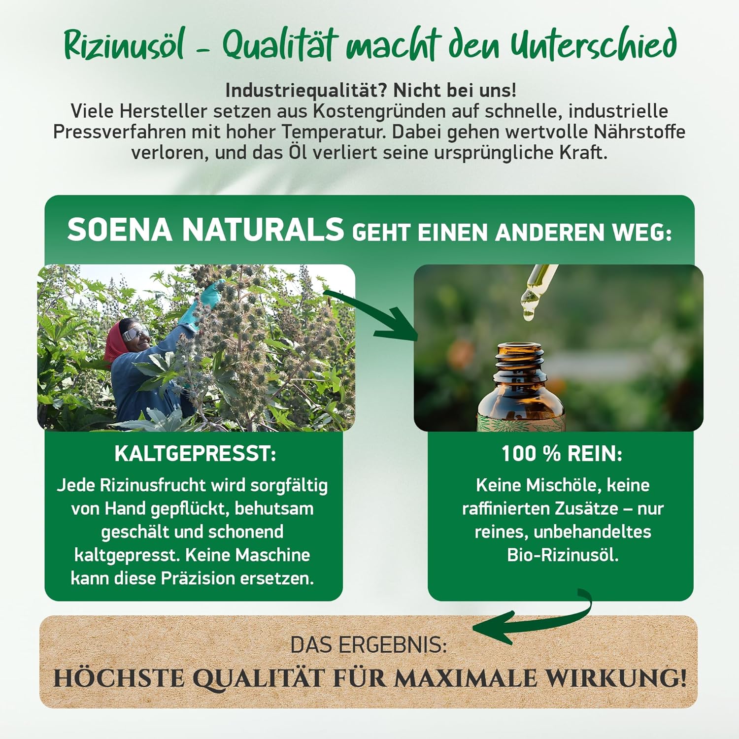 Detalle 2 de BIO RIZINUSÖL 100% REIN Kaltgepresst