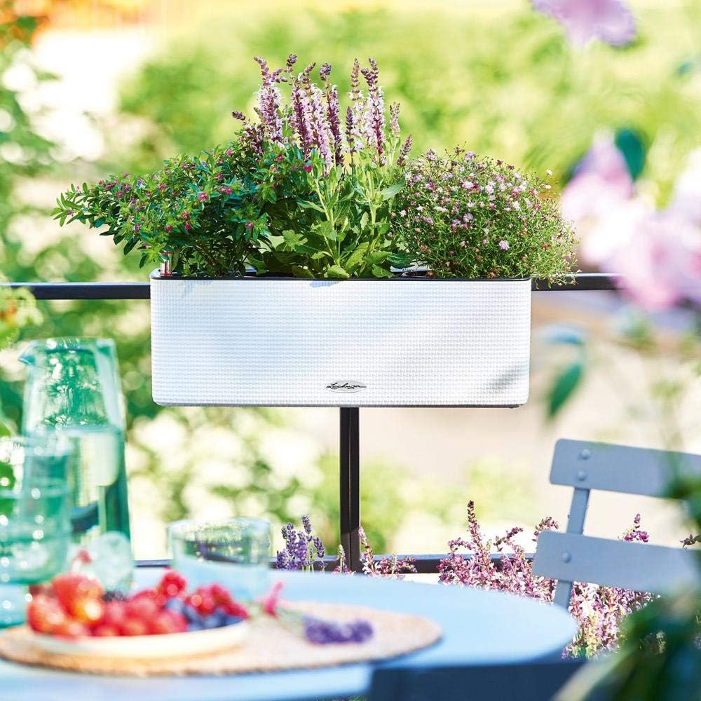 Thumbnail 3 de LECHUZA CUBE Color Triple 13680