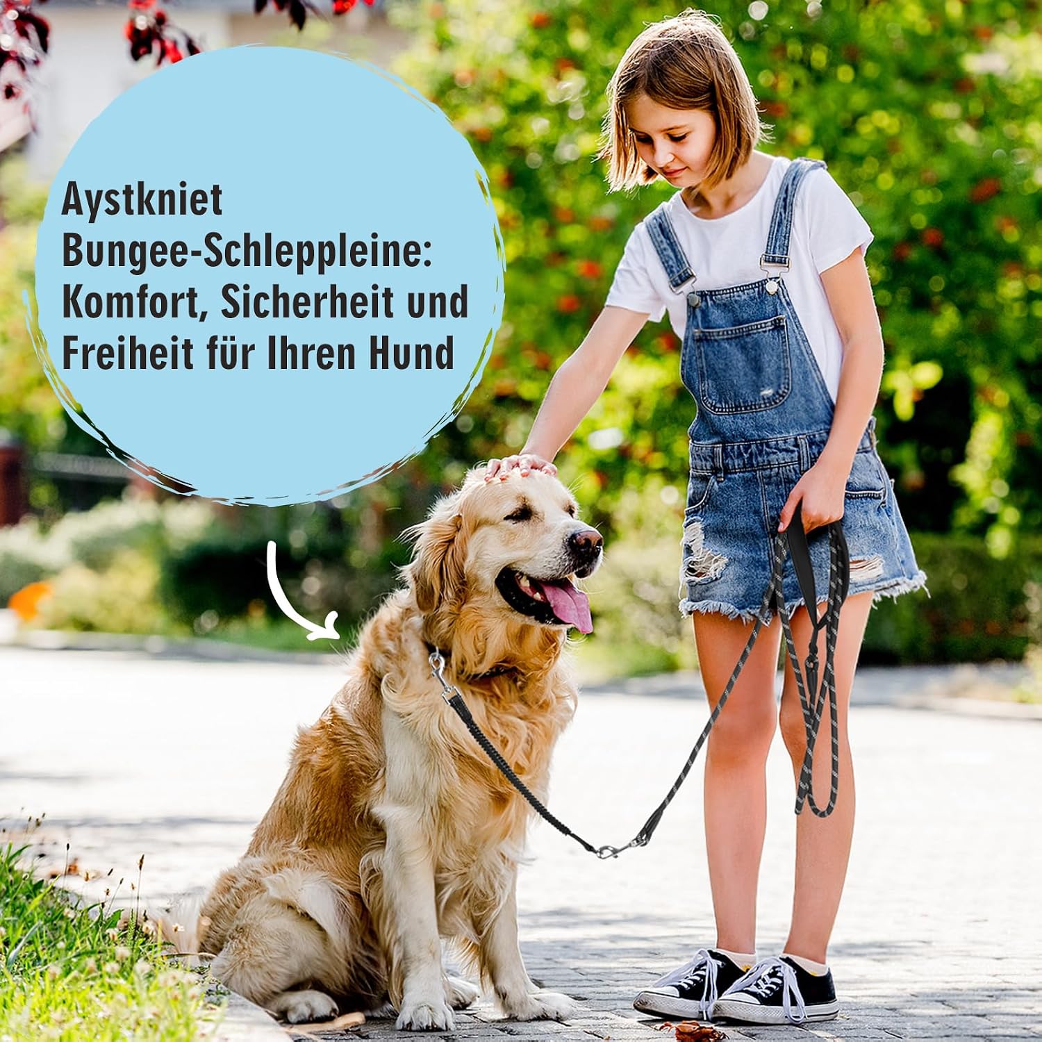 Thumbnail 6 de Aystkniet Schleppleine 30M für Hunde – elastische Bungee-Leine mit abnehmbarem Segment, gepolsterter Griff und reflektierenden Nähten